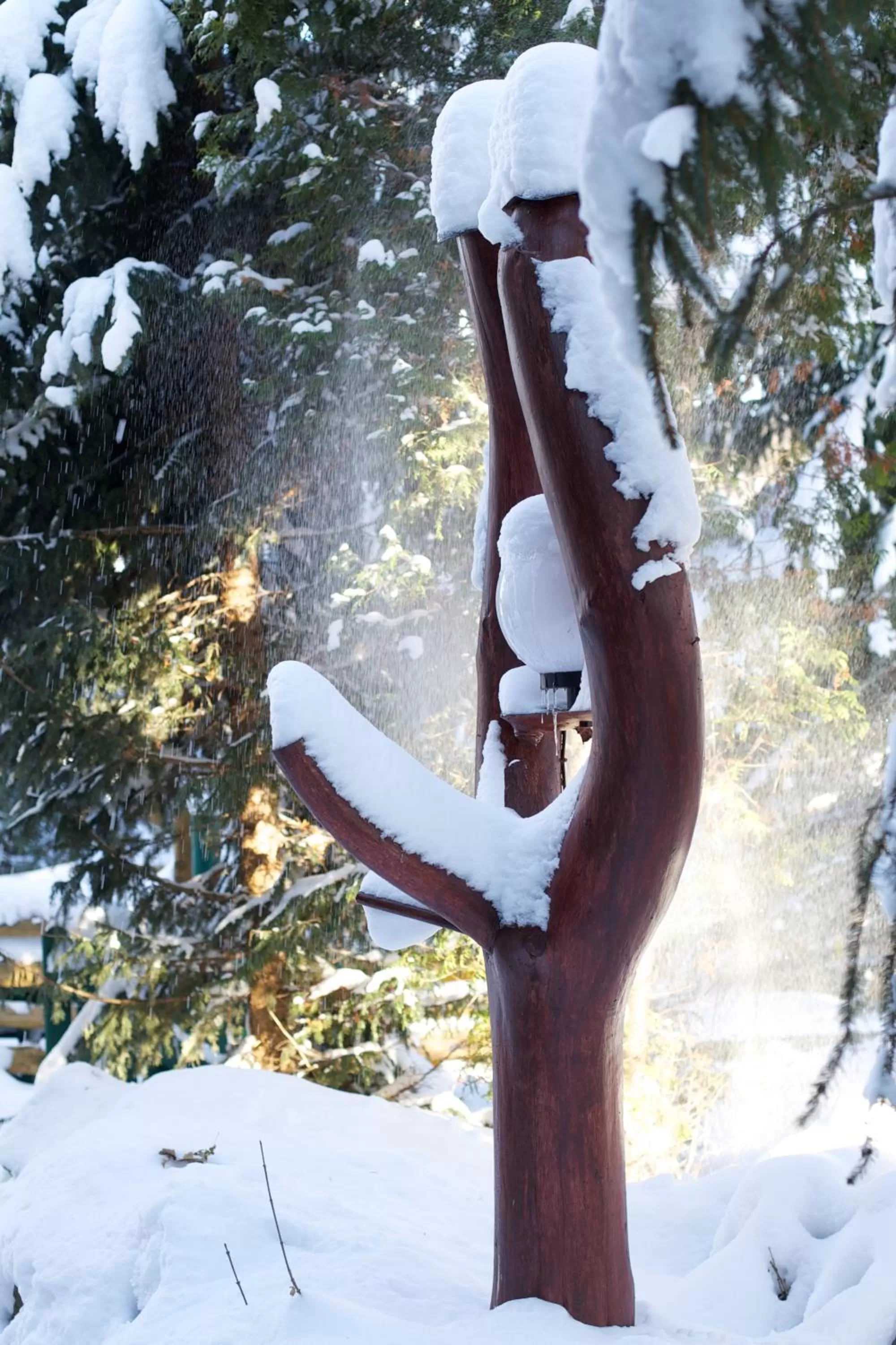Natural landscape in Hotel Zur Kutsche