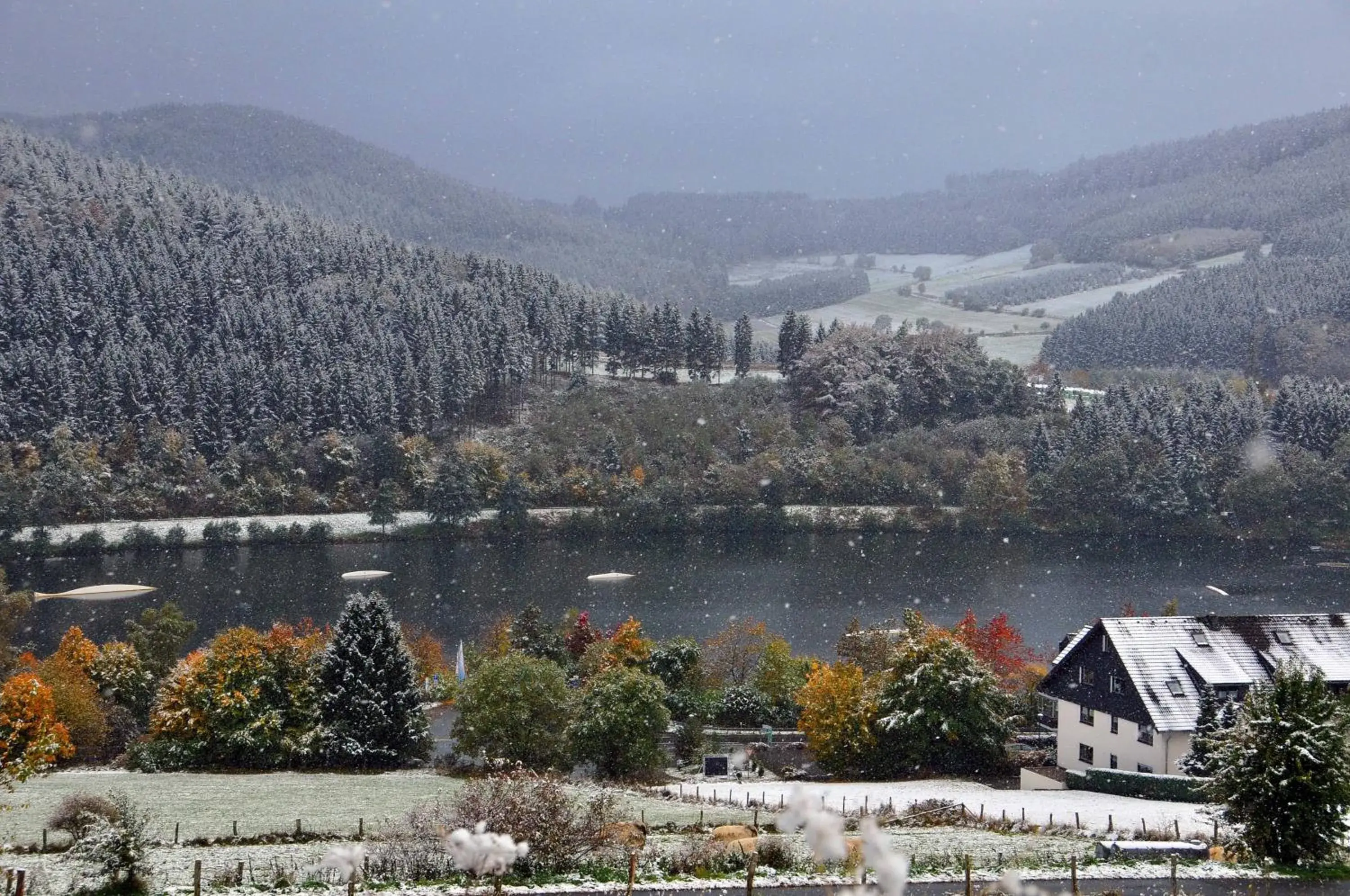 Winter, Mountain View in Hotel Niedersfeld-Winterberg