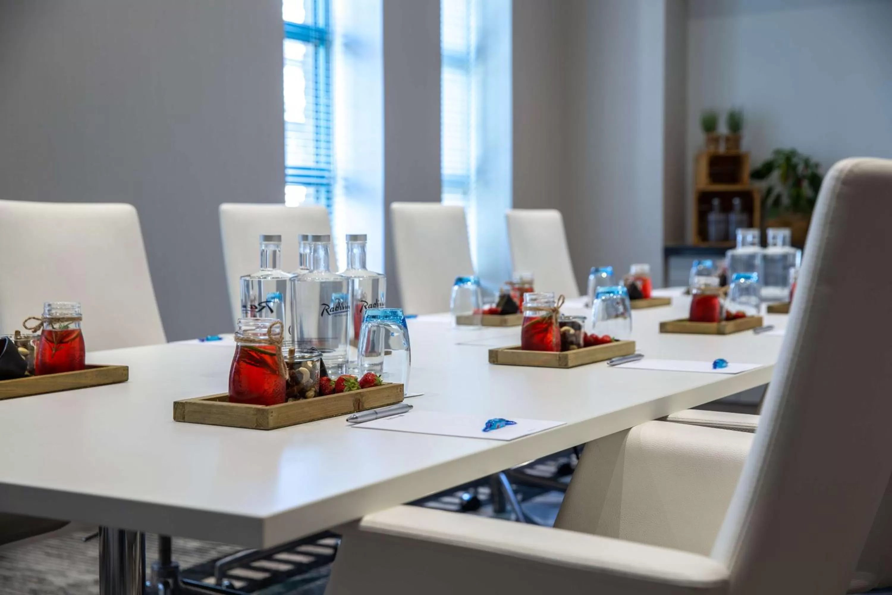Meeting/conference room in Radisson Blu Hotel, Antwerp City Centre
