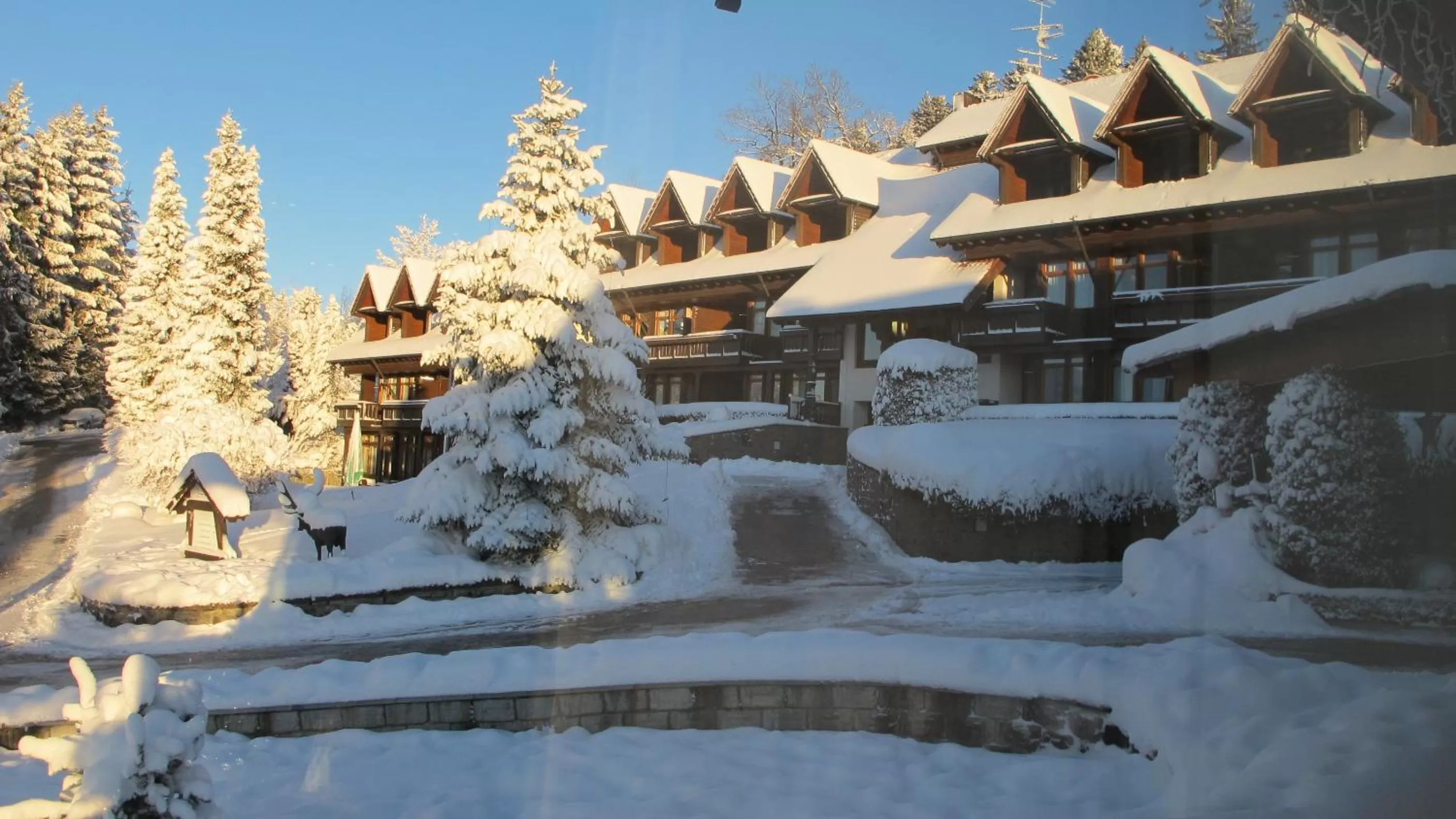 Property building in Berghotel Jägerhof ****S