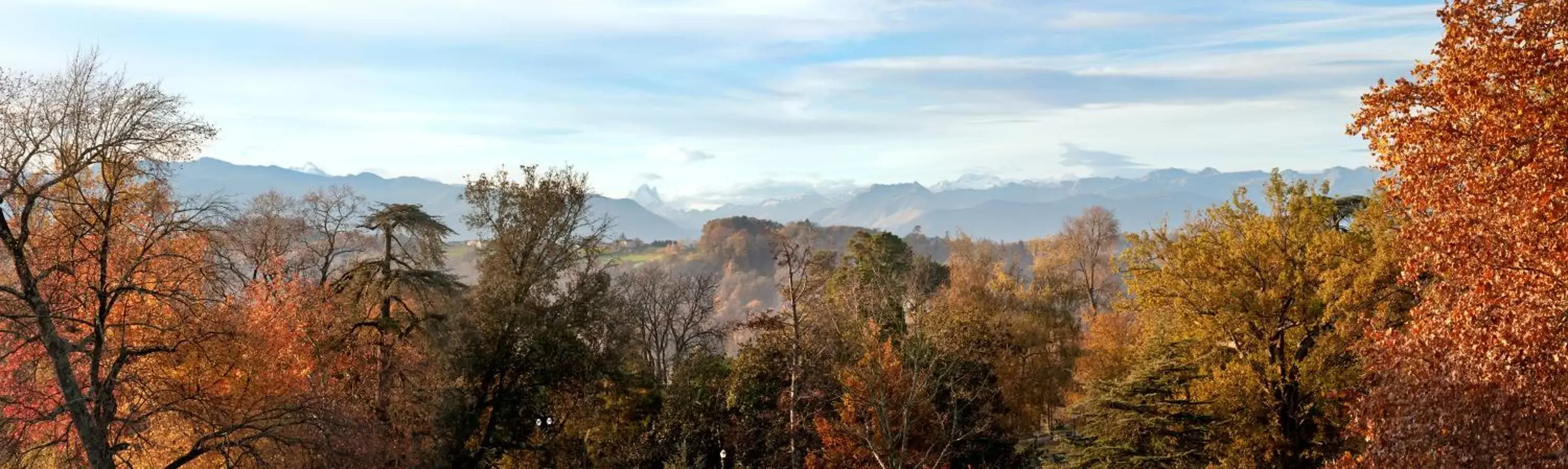 Natural landscape in Hotel Parc Beaumont & Spa Pau - MGallery