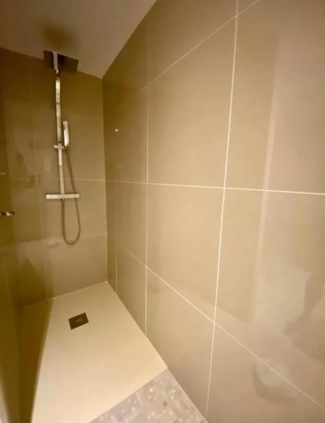 Shower, Bathroom in La cactée singulière