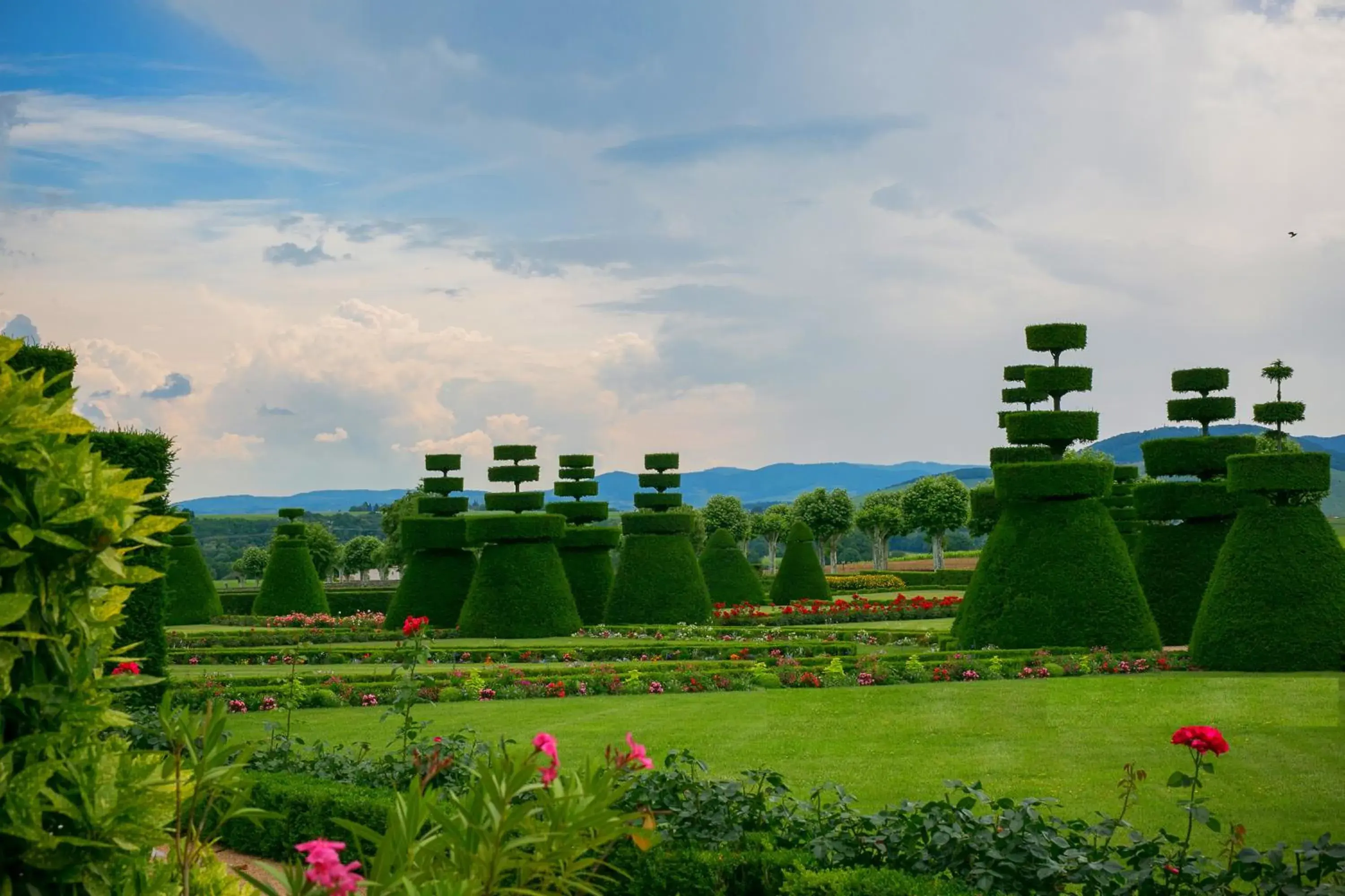 Spring in Château de Pizay