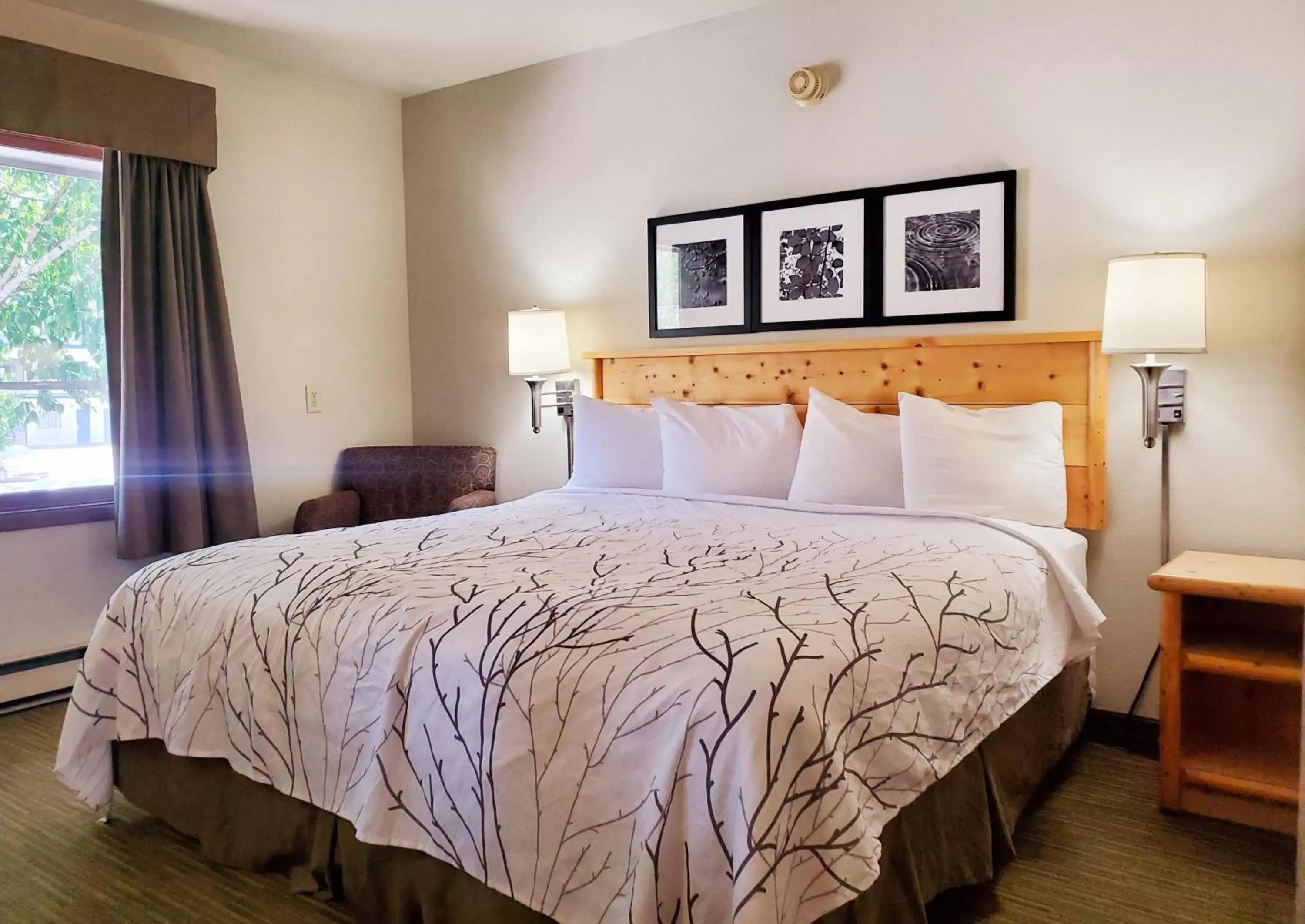Bed in Days Inn and Suites by Wyndham Downtown Missoula-University