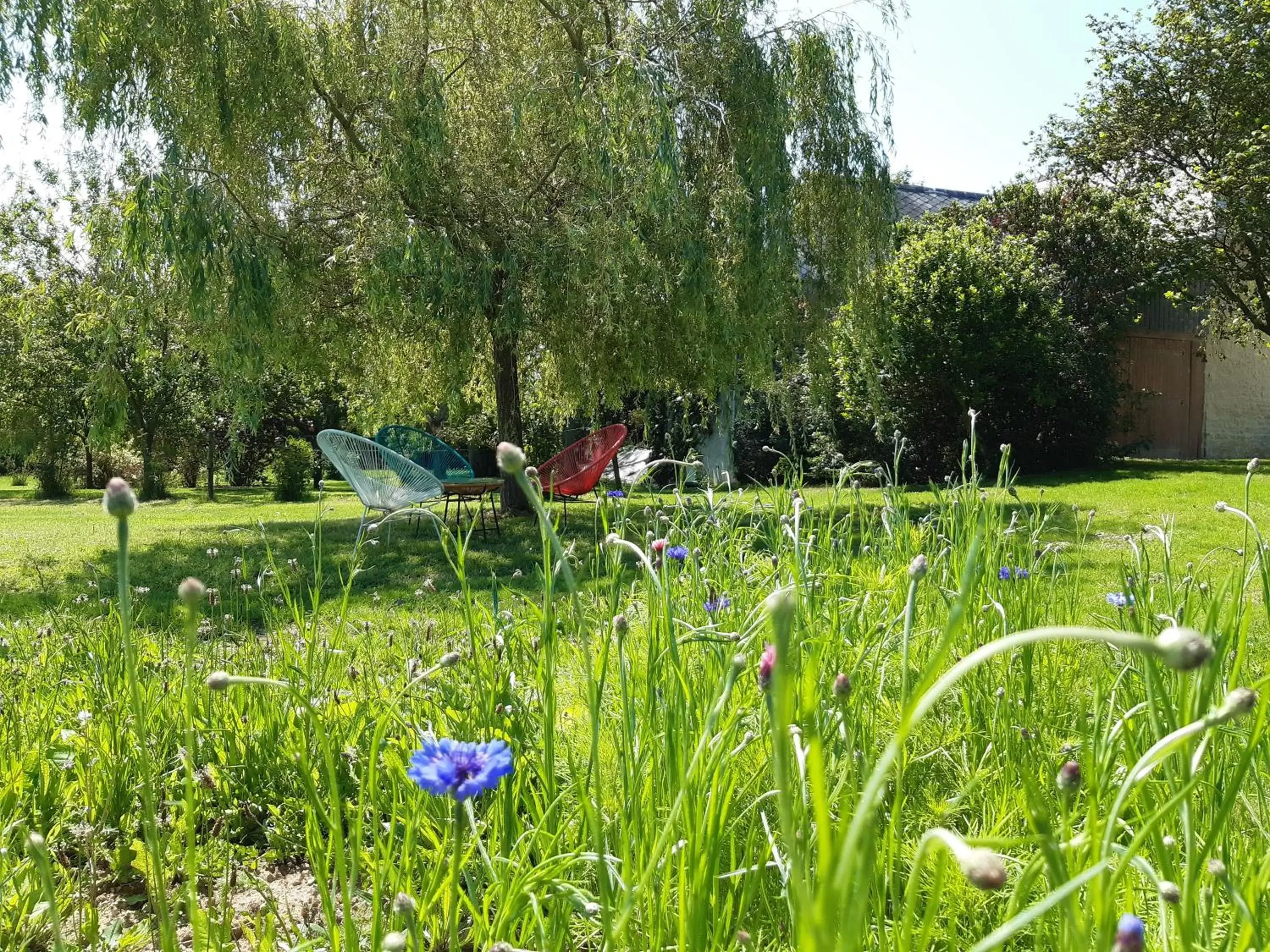 People, Garden in Château Saint Gilles