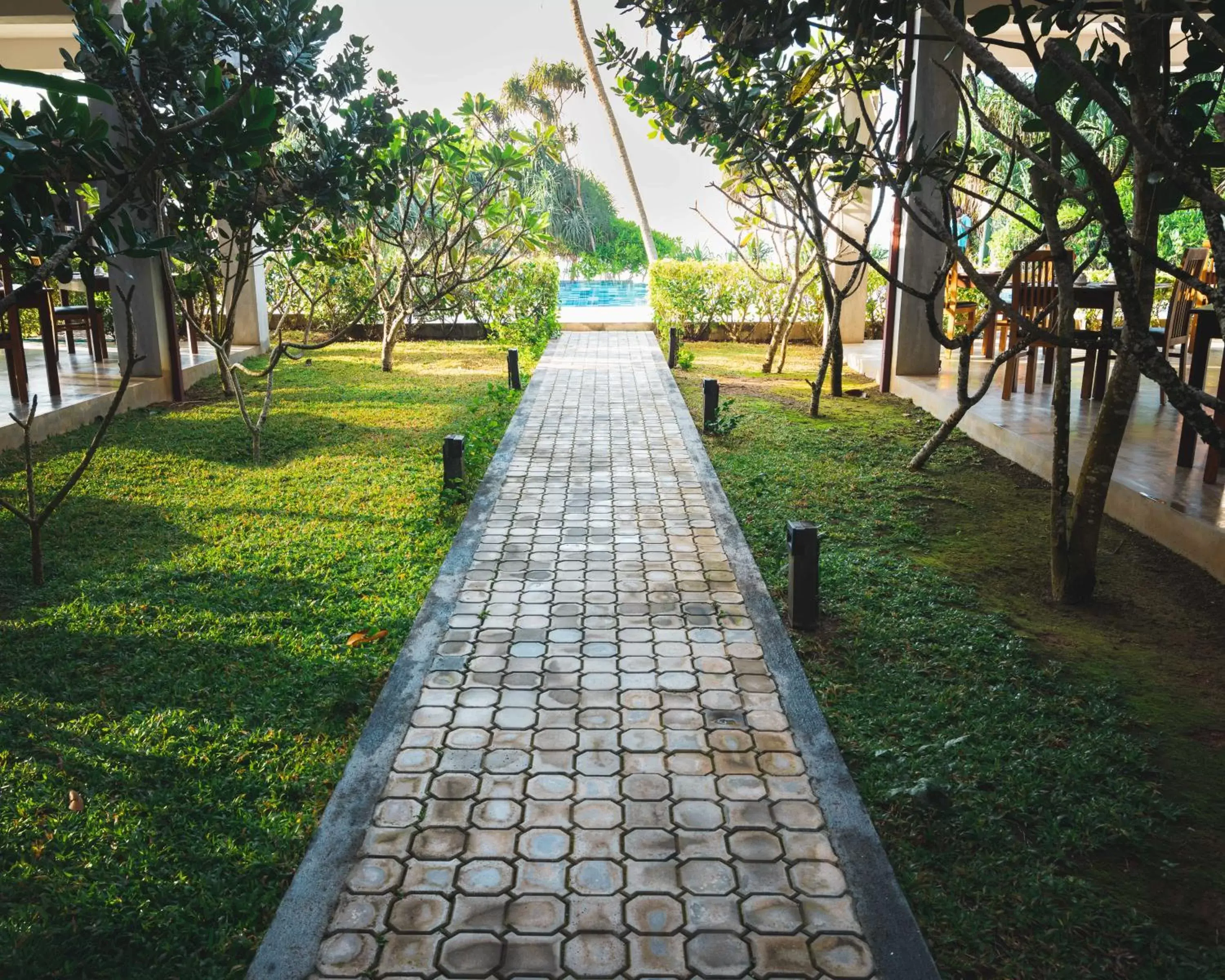 Garden in Ananya Beach Resort