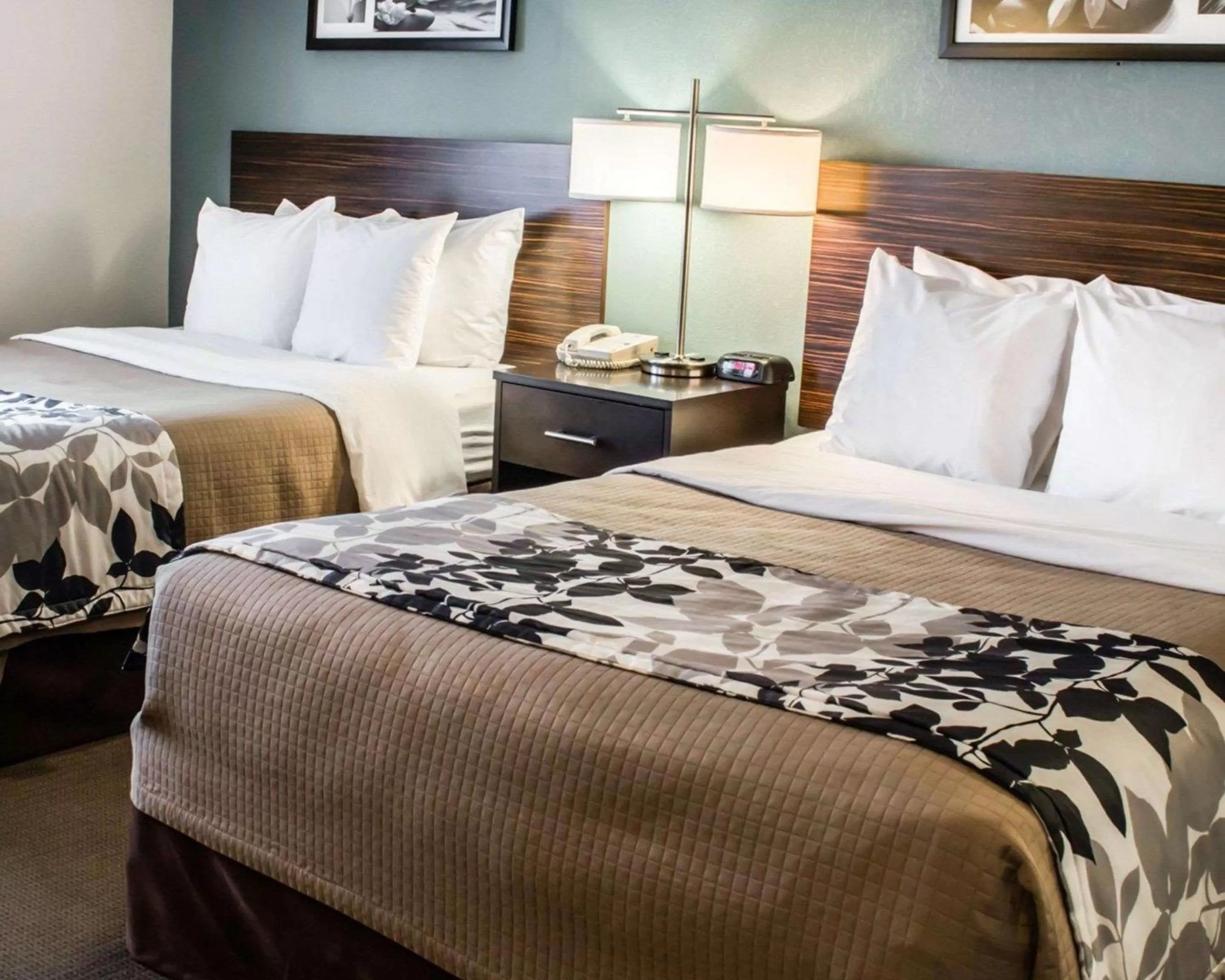 Photo of the whole room, Bed in Sleep Inn & Suites Monticello