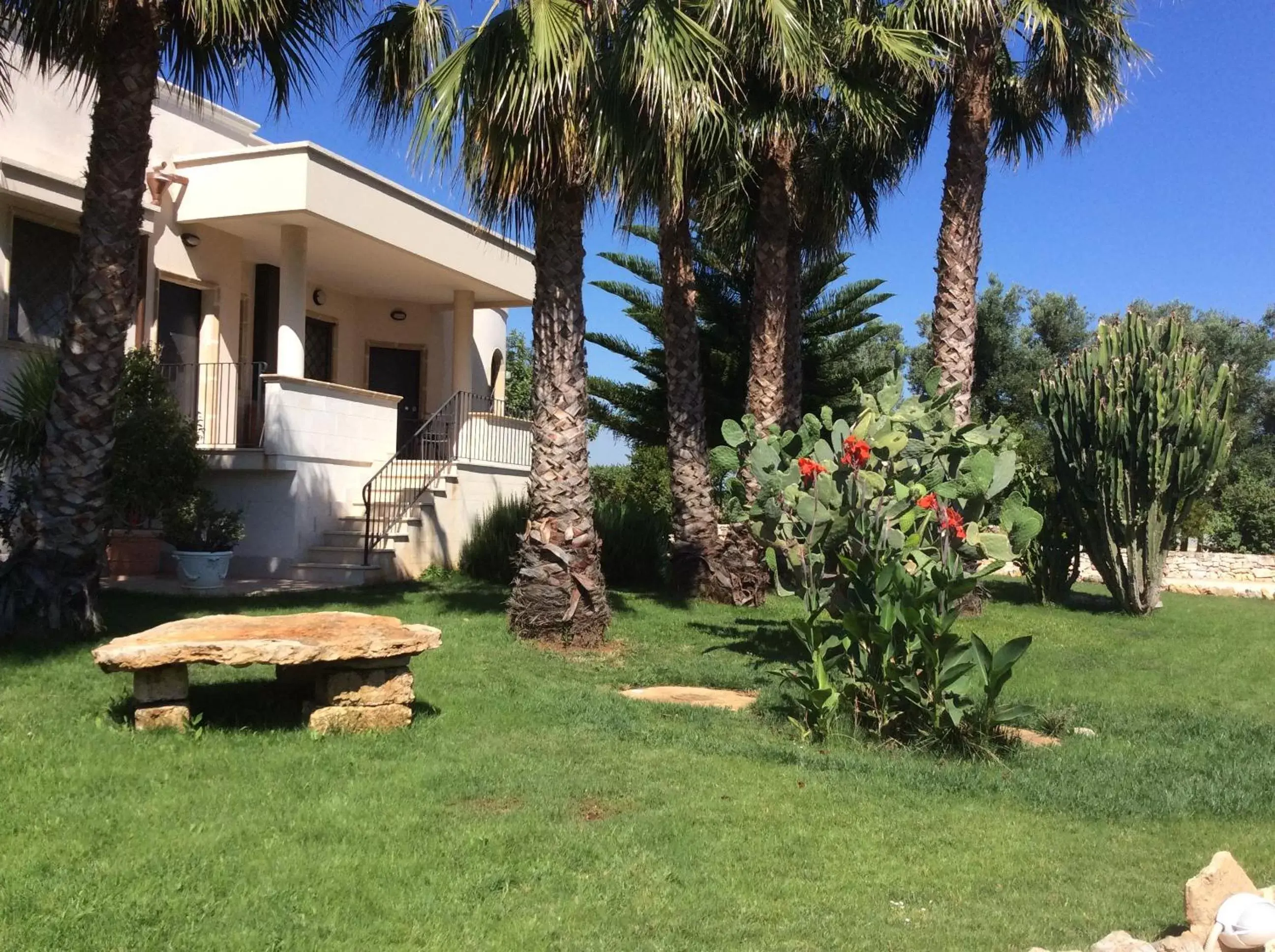 Garden view, Garden in Villa Narducci