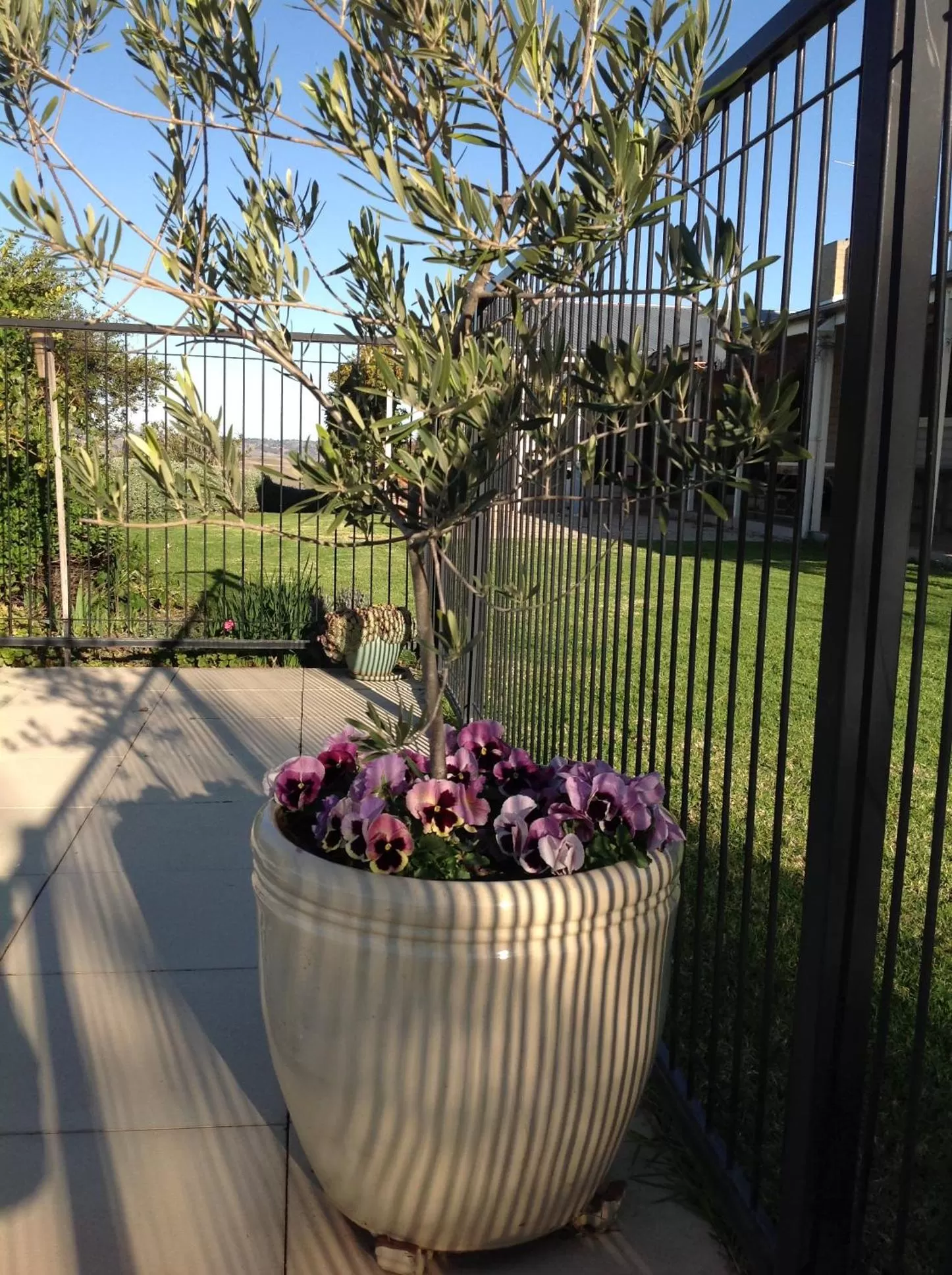 Amazing Views Pet Friendly Bed and Breakfast