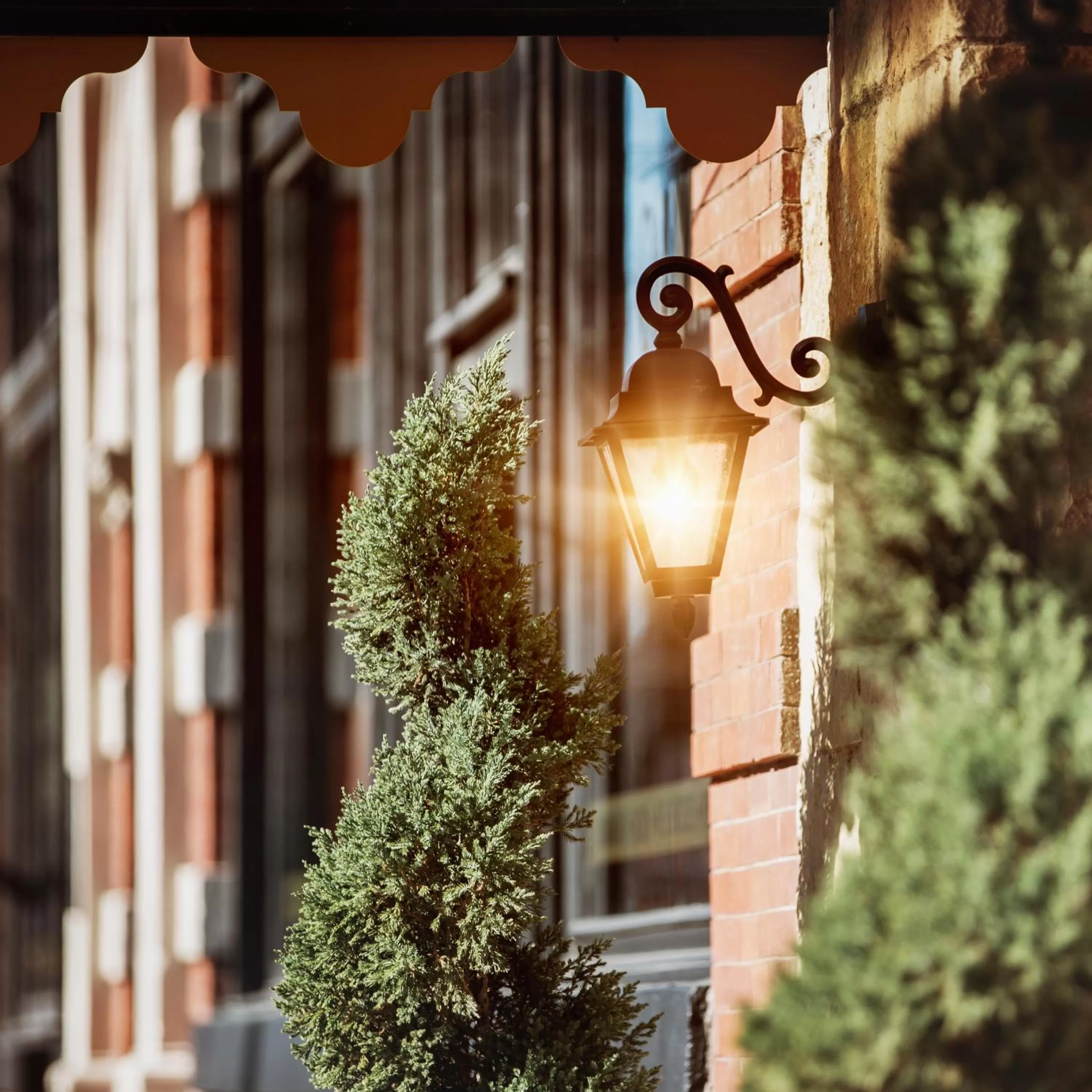 Decorative detail in Hotel Ballard