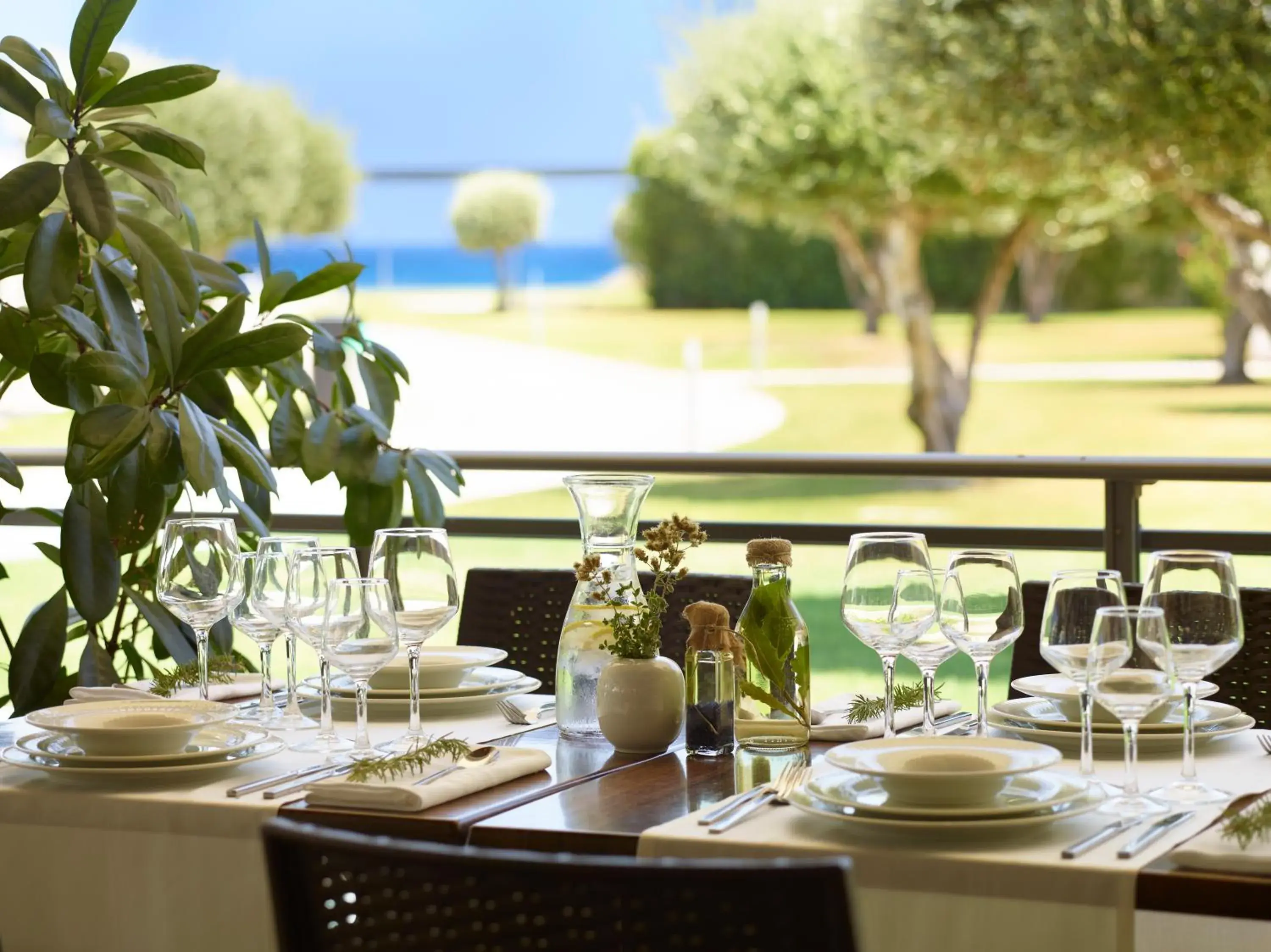 Apollo Blue Apollo Blue