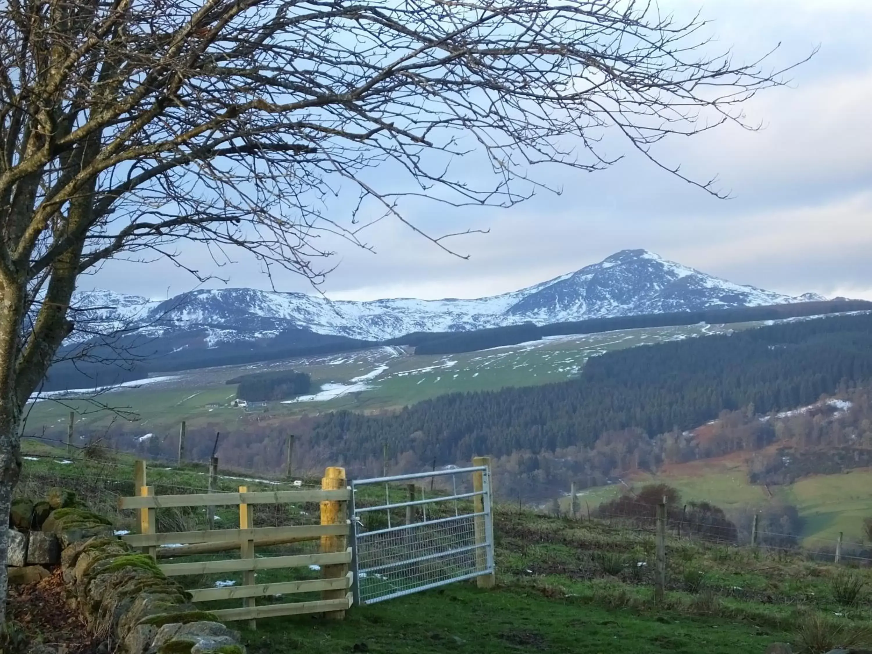 View (from property/room), Mountain View in Errichel House and Cottages