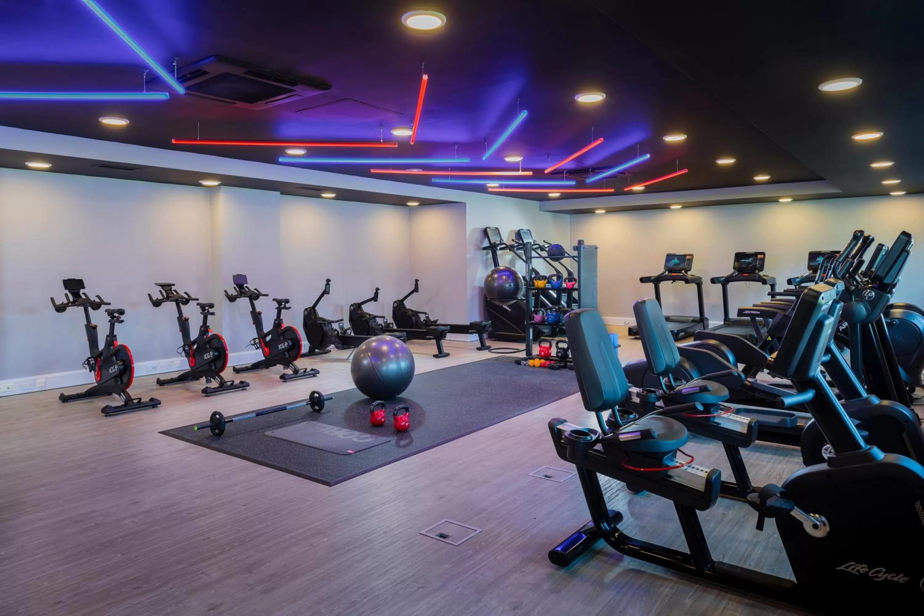 Fitness centre/facilities in The Park Royal Hotel & Spa