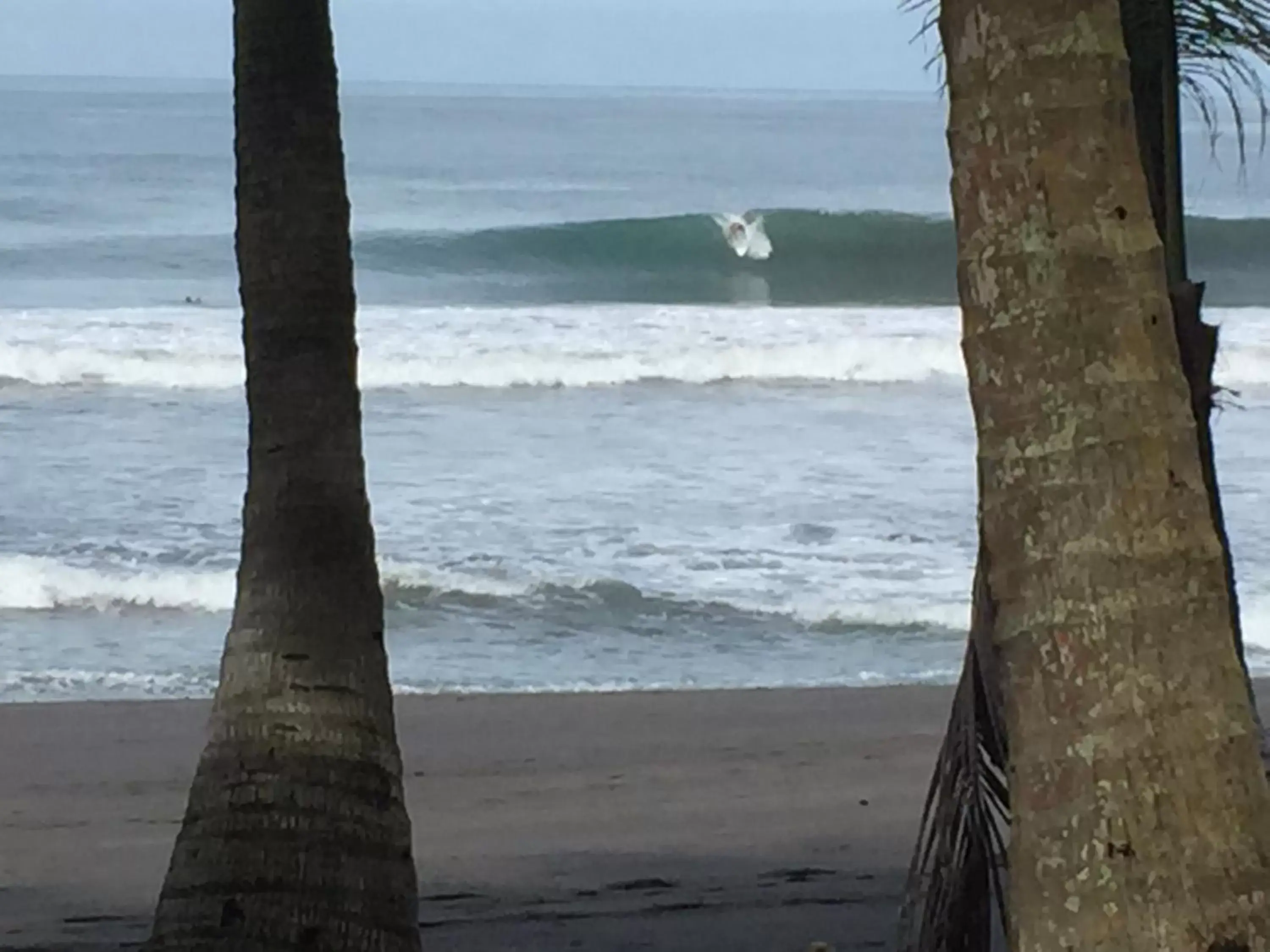 Sports, Beach in Hotel Beachfront Vista Hermosa