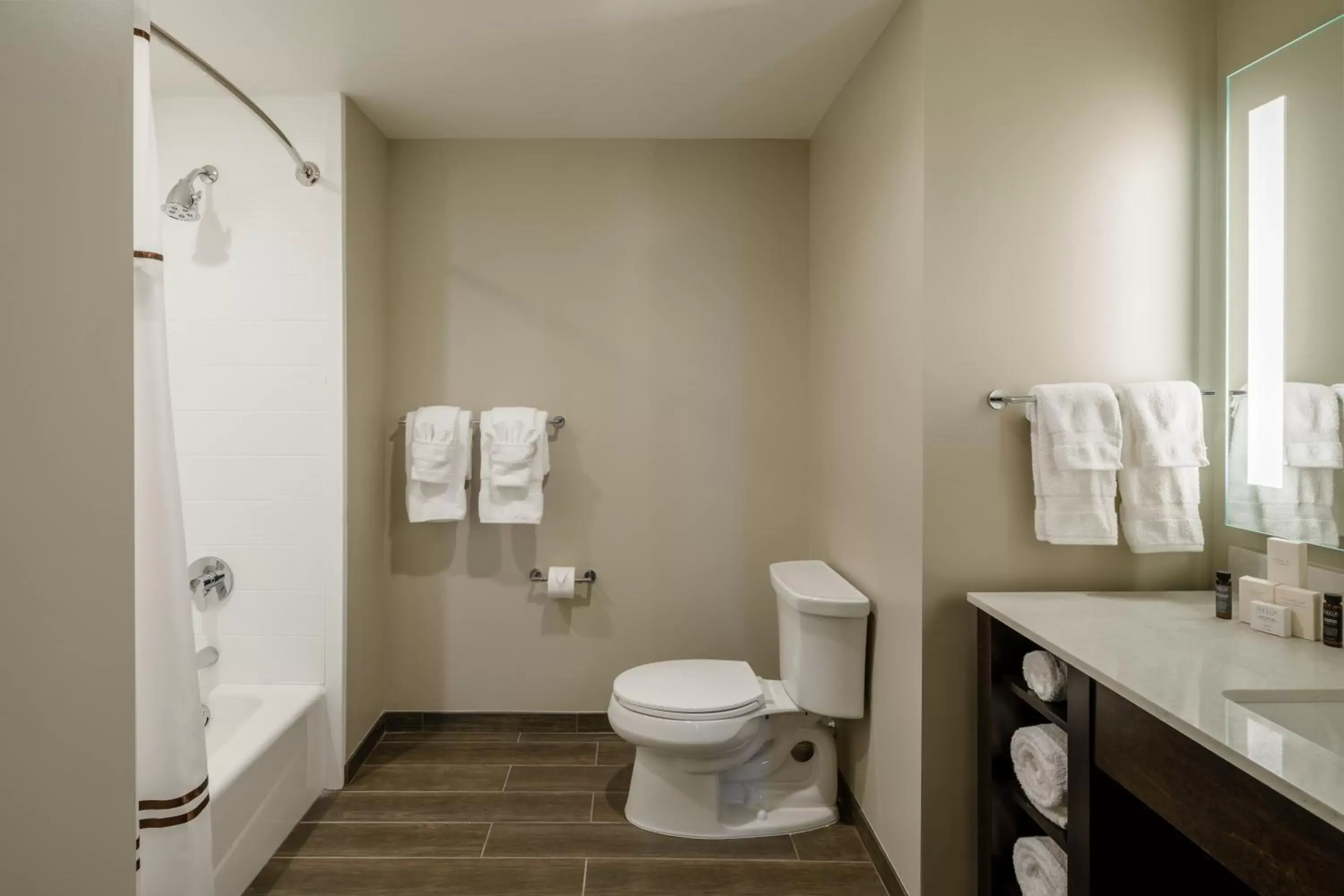 Bathroom in Hotel Madison & Shenandoah Conference Ctr.