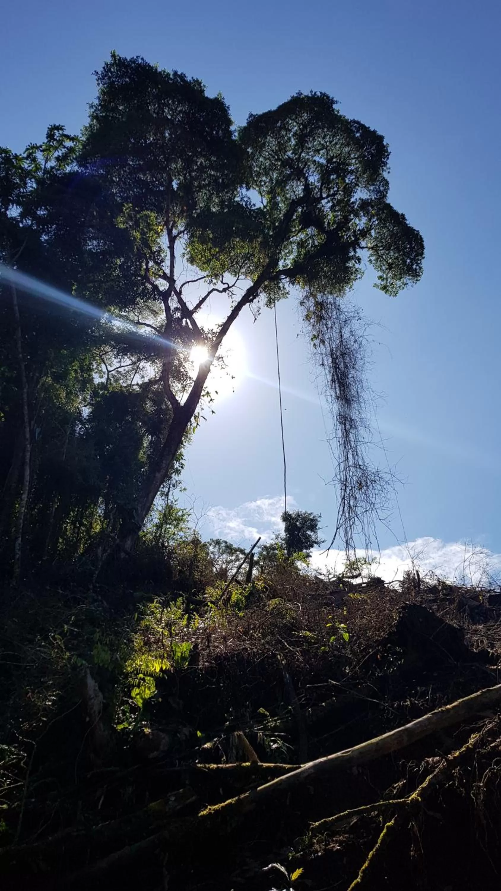 Natural landscape in Hotel Rivel - Adventure & Nature Retreat