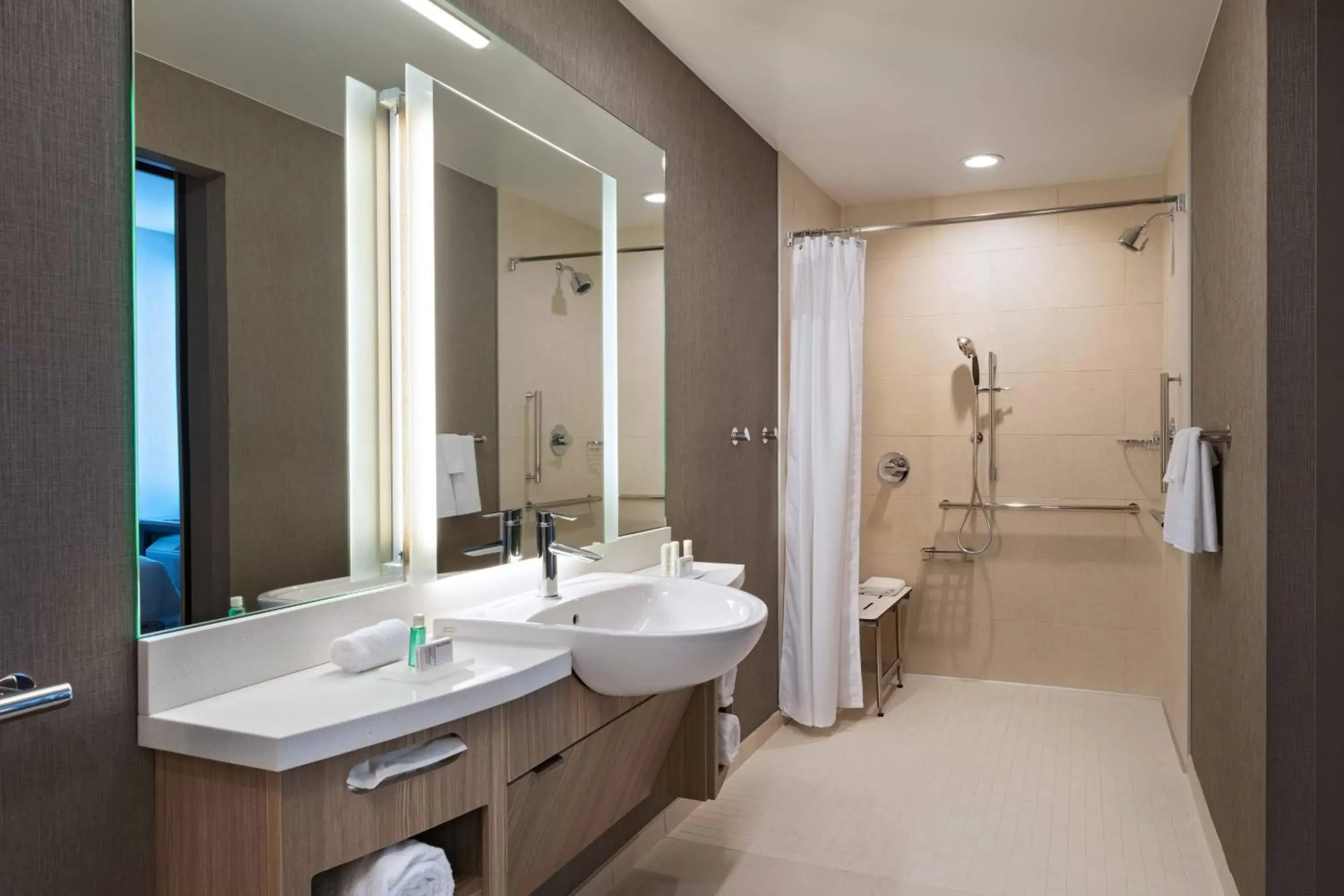 Bathroom in SpringHill Suites by Marriott Dallas Richardson/University Area