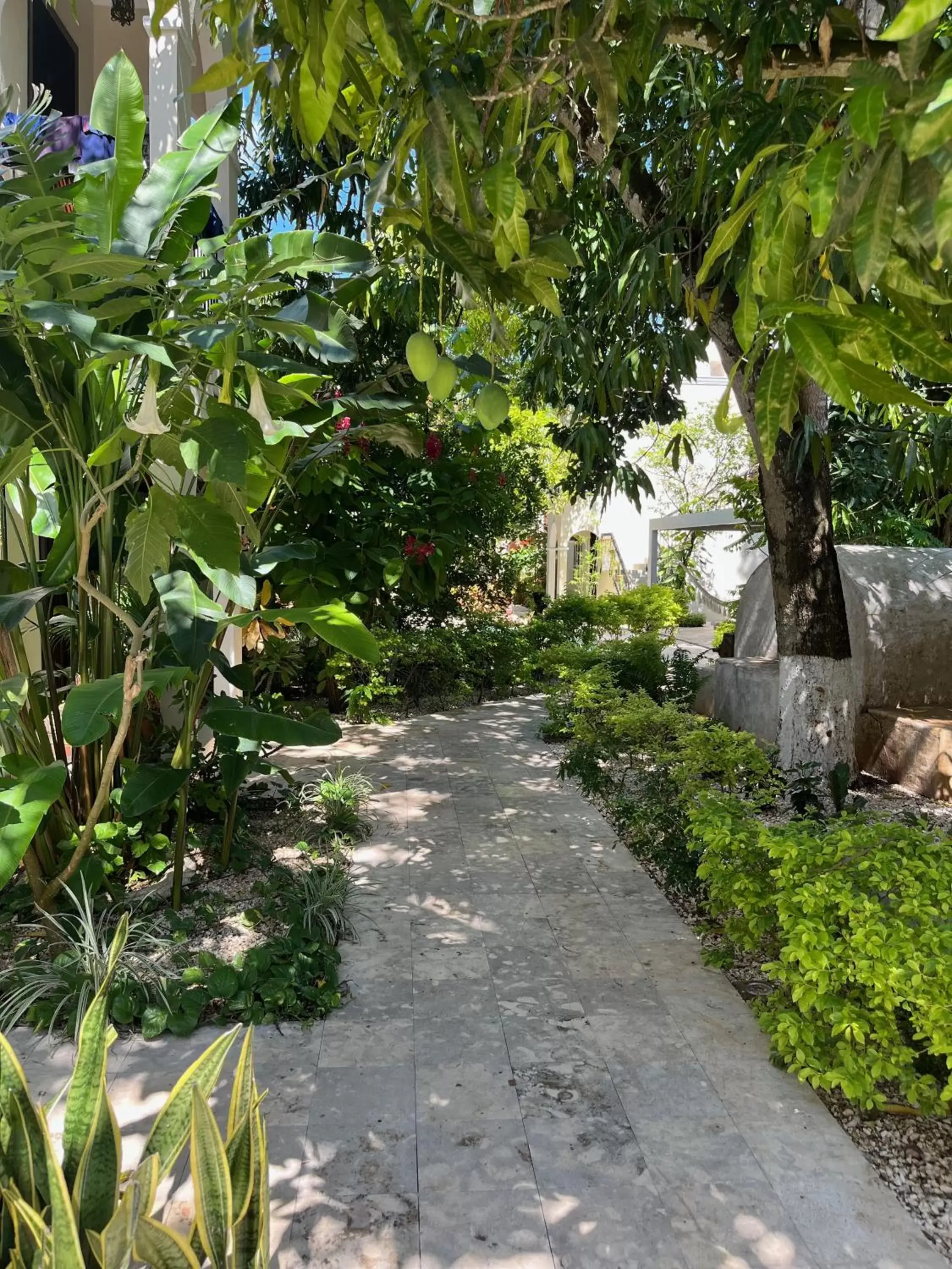 Garden view, Garden in Casa Valladolid Boutique Hotel