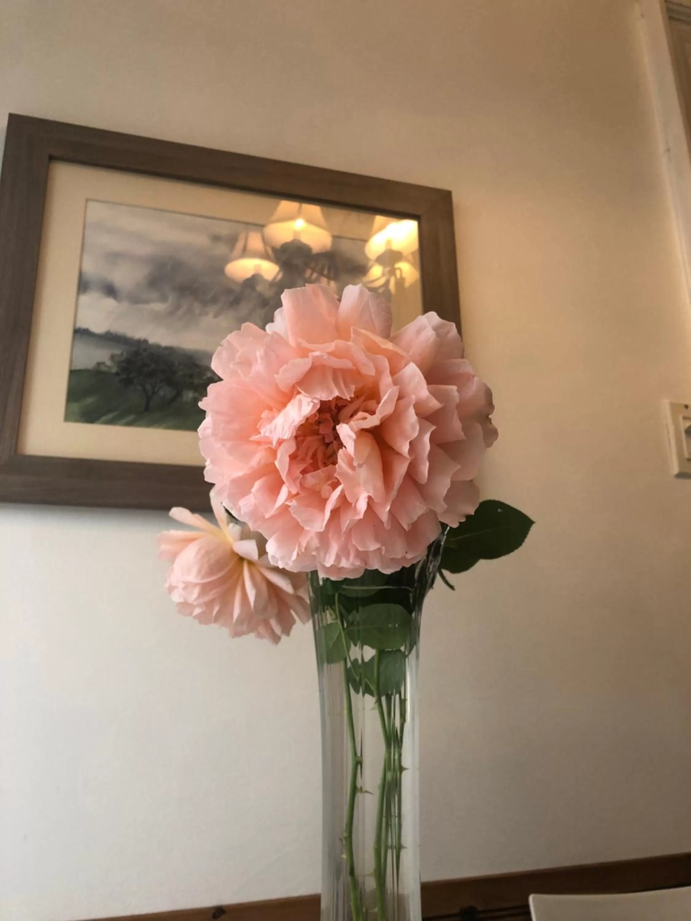 Decorative detail in The Ambassador