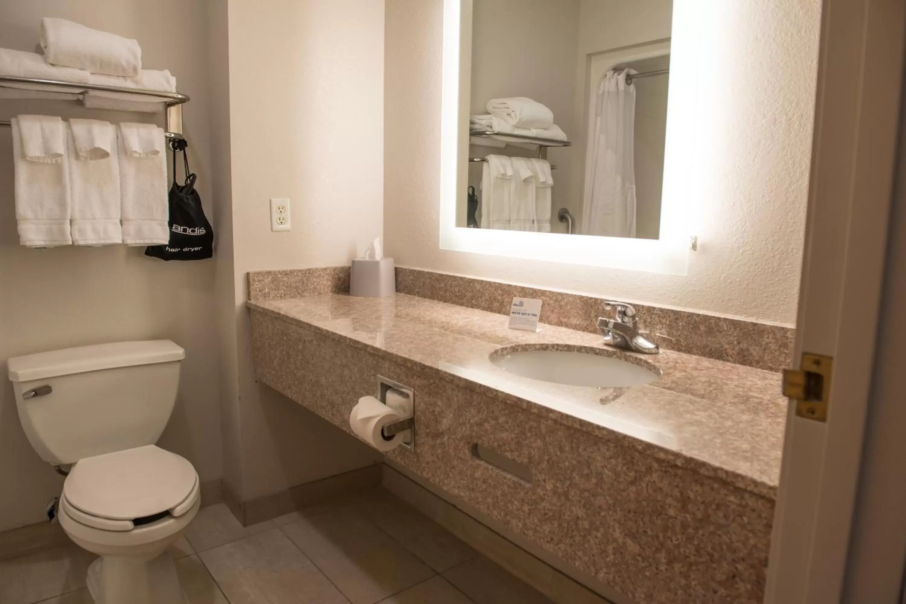 Toilet, Bathroom in Holiday Inn Express Hotel & Suites Elkhart-South, an IHG Hotel