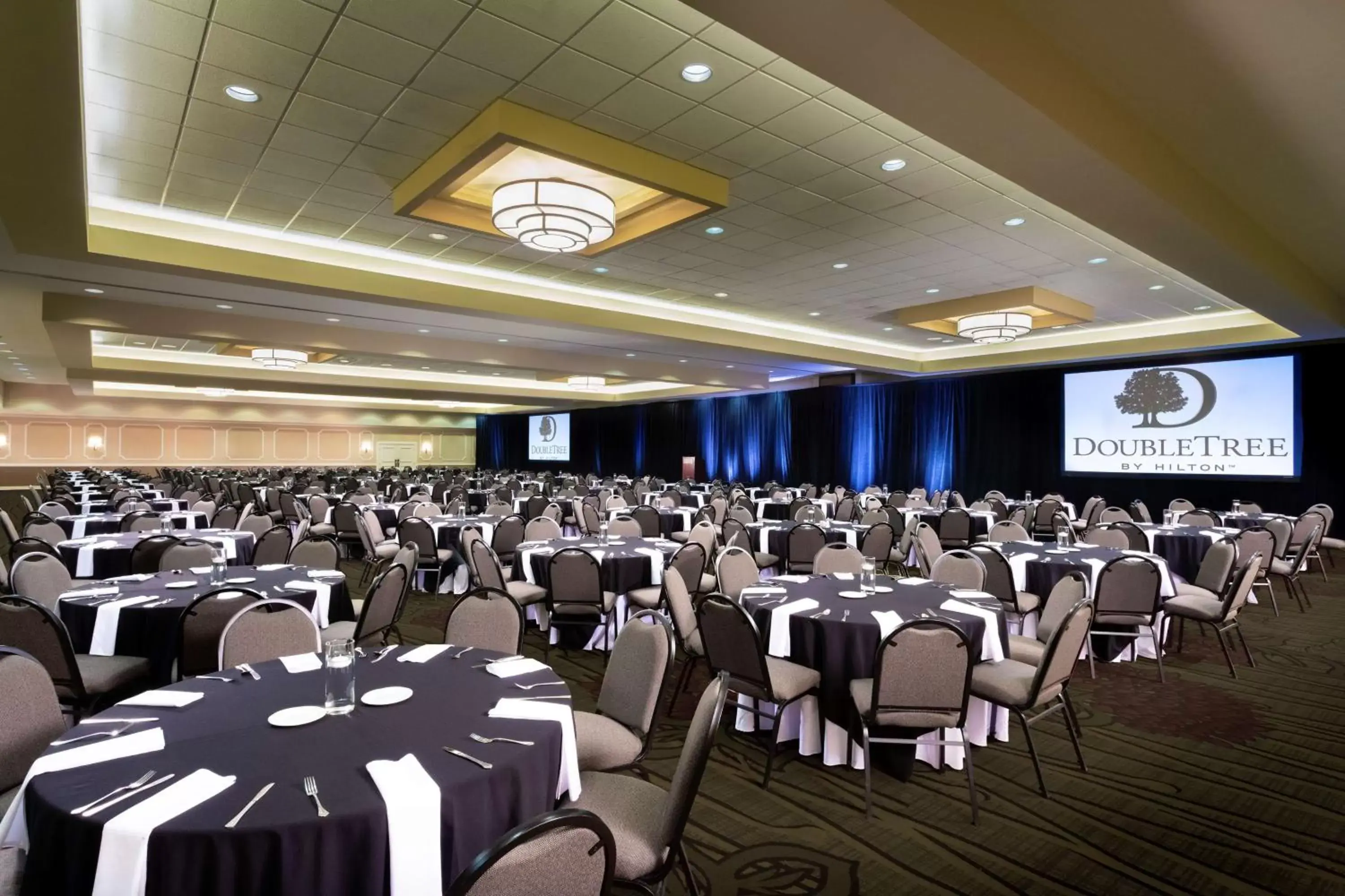Meeting/conference room, Banquet Facilities in DoubleTree by Hilton Hotel Columbia