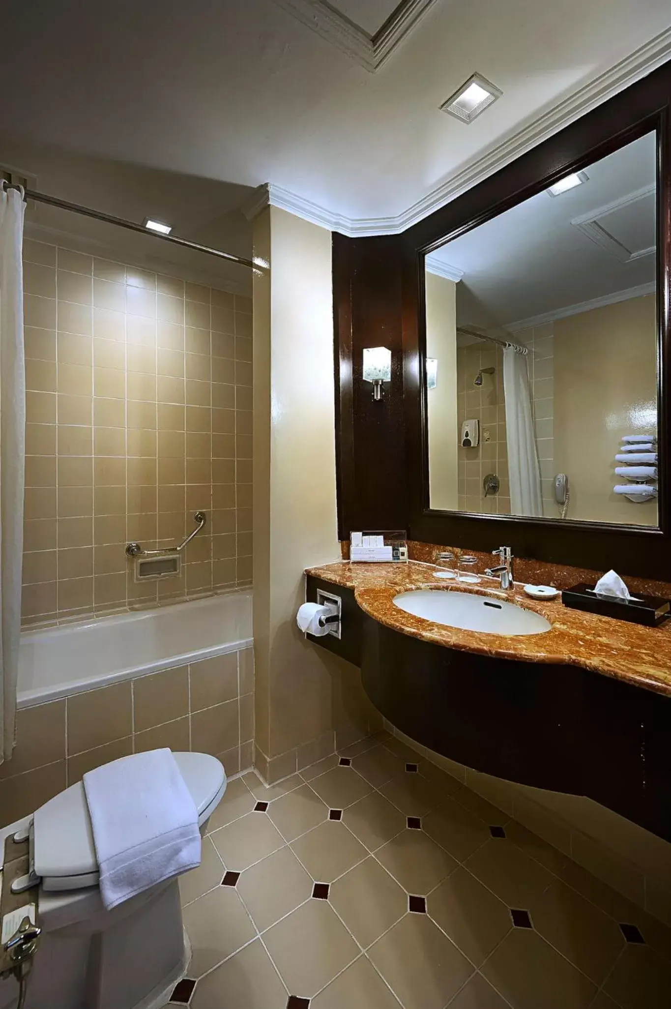 Shower, Bathroom in Berjaya Penang Hotel