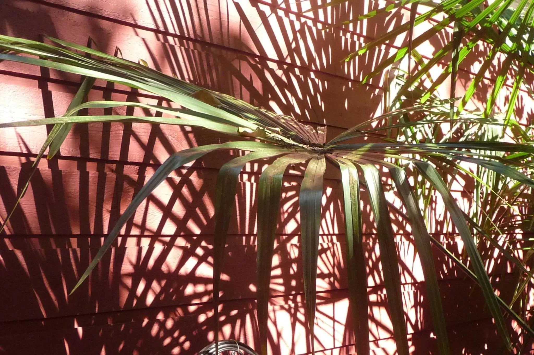 Facade/entrance in Magnolia Petal