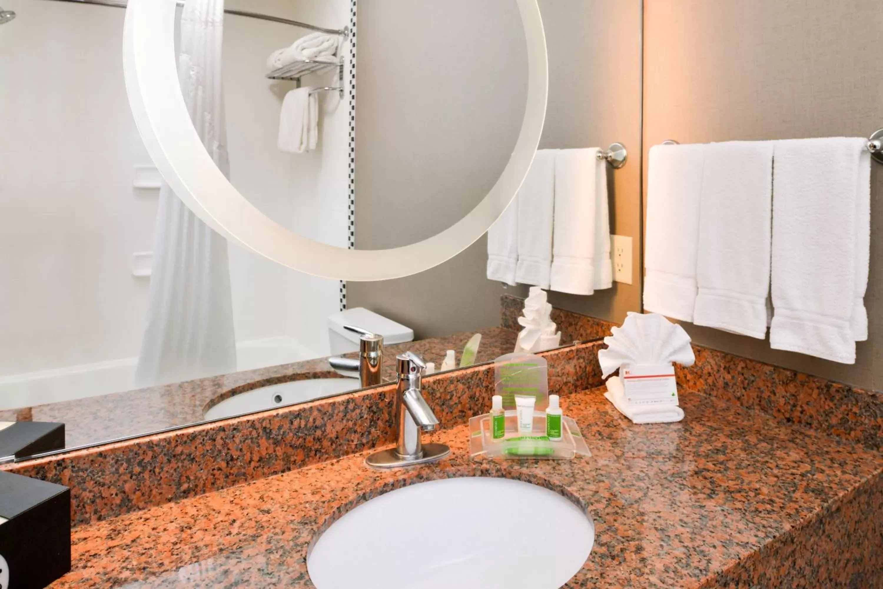 Bathroom in The Holiday Inn Amarillo West Medical Center, an IHG Hotel