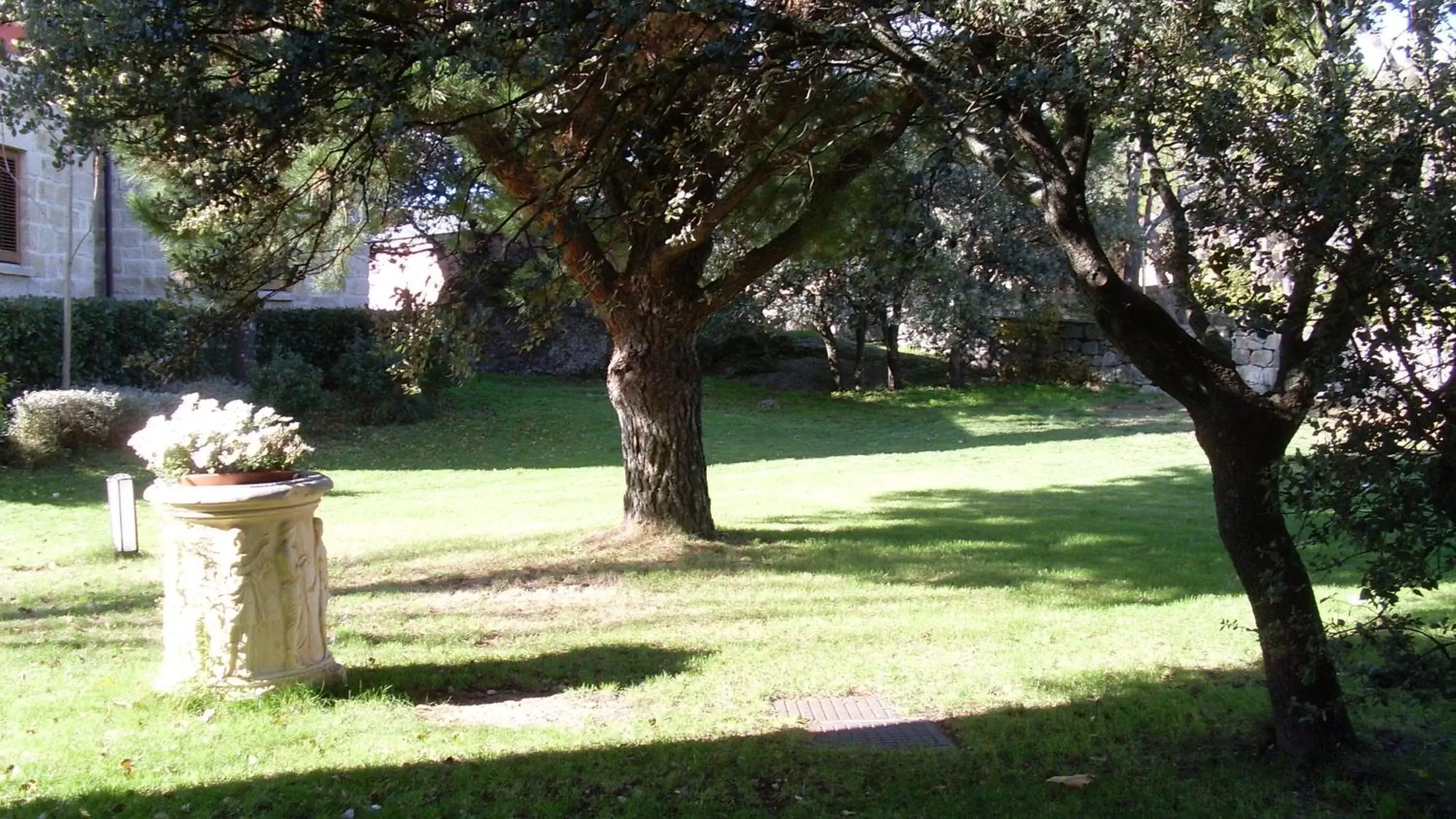 Garden in Hotel Sara De Ur