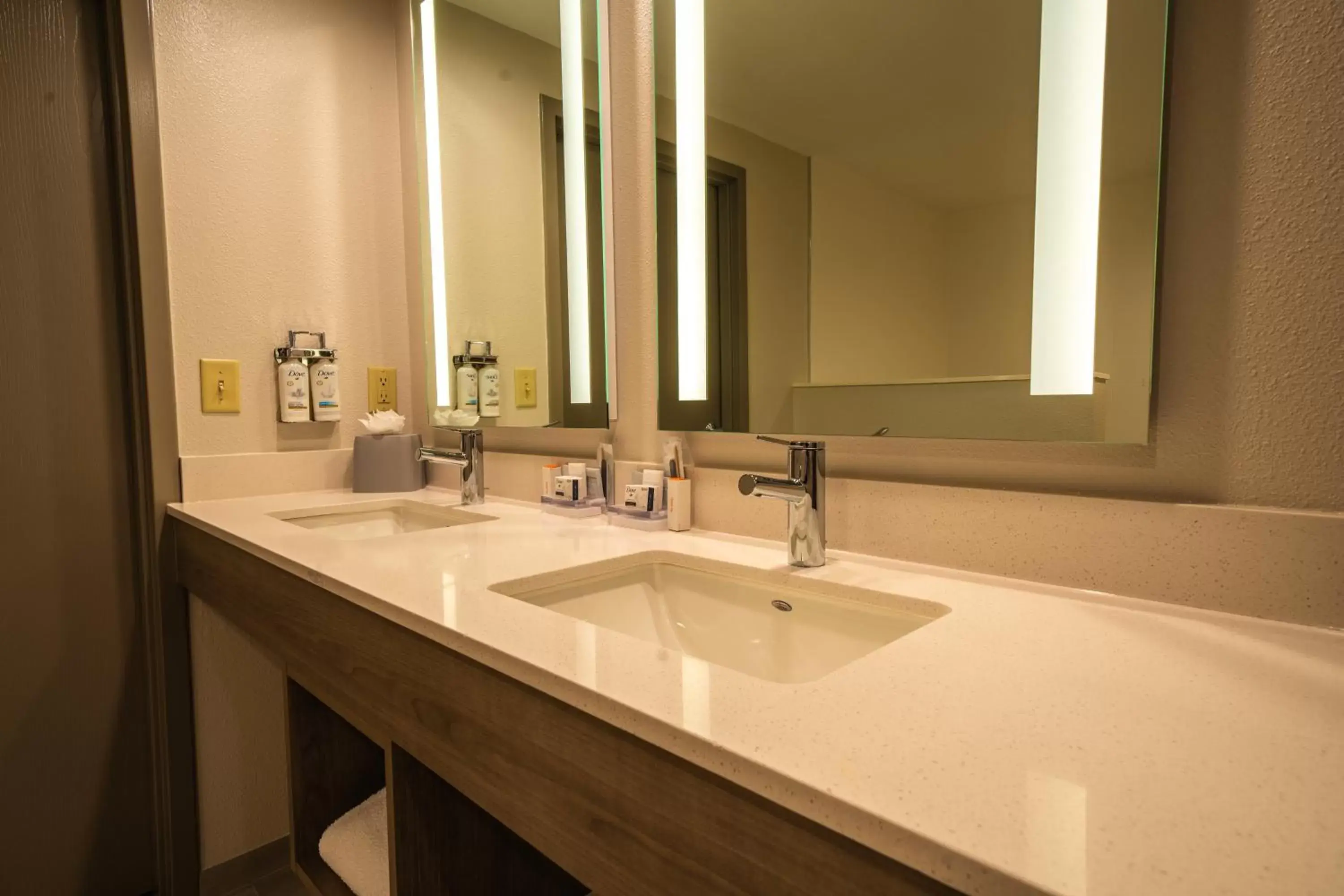 Photo of the whole room, Bathroom in Holiday Inn Express Hotel & Suites Tampa-Oldsmar, an IHG Hotel