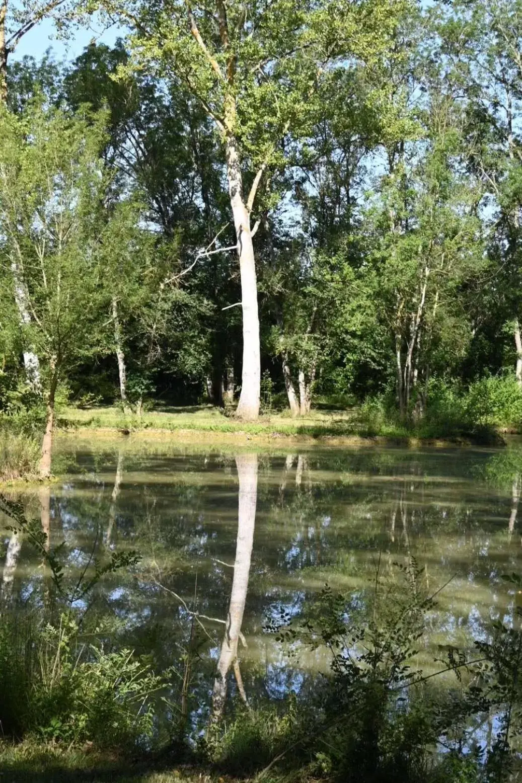 Lake view in Domaine de Boulouch