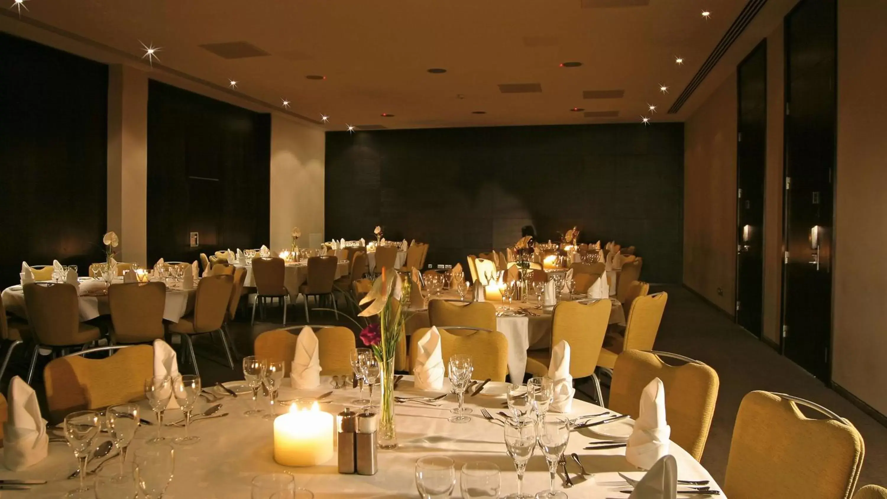 Business facilities, Restaurant/Places to Eat in Park Plaza Cardiff
