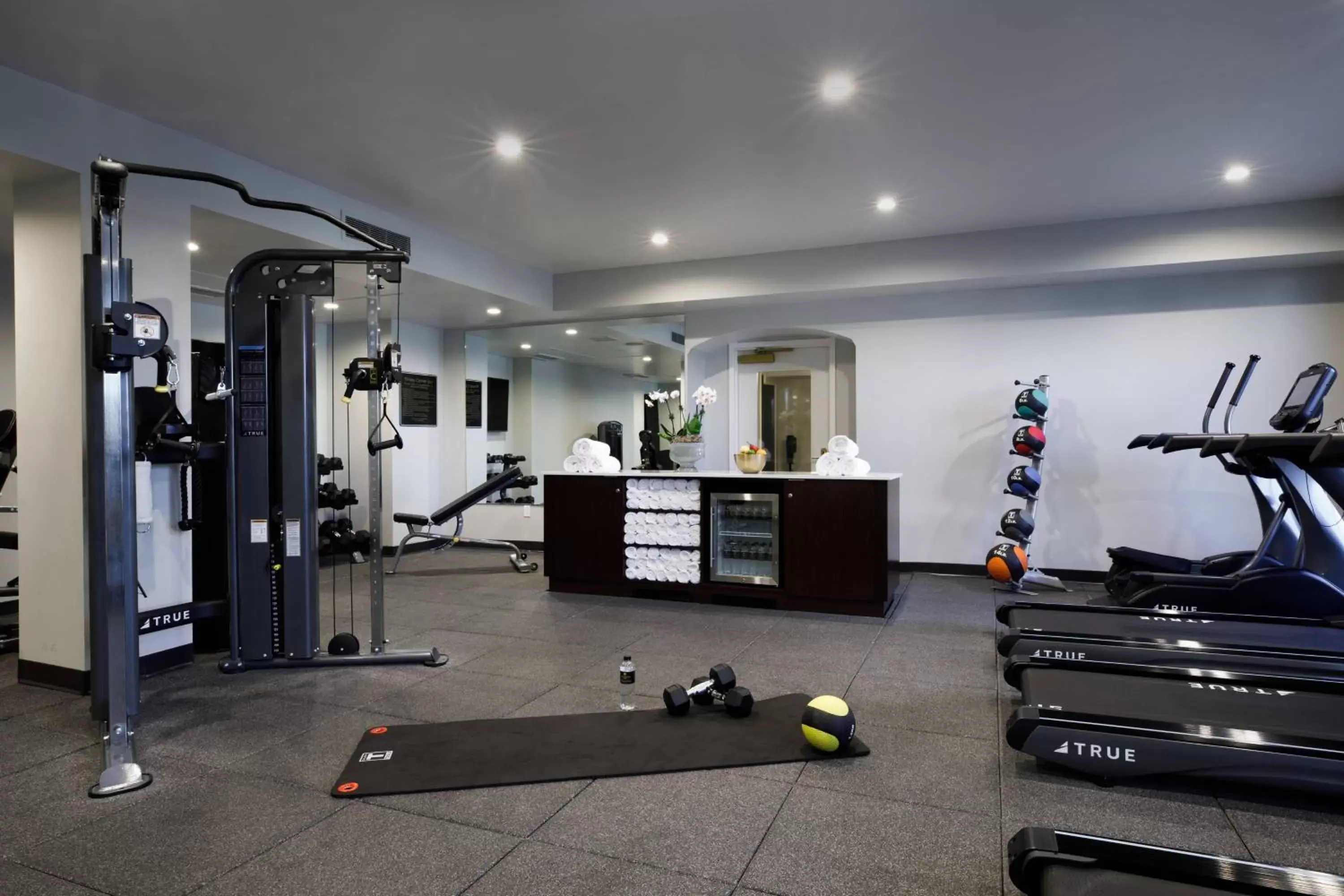 Fitness centre/facilities, Fitness Center/Facilities in Hotel Carmichael, Autograph Collection