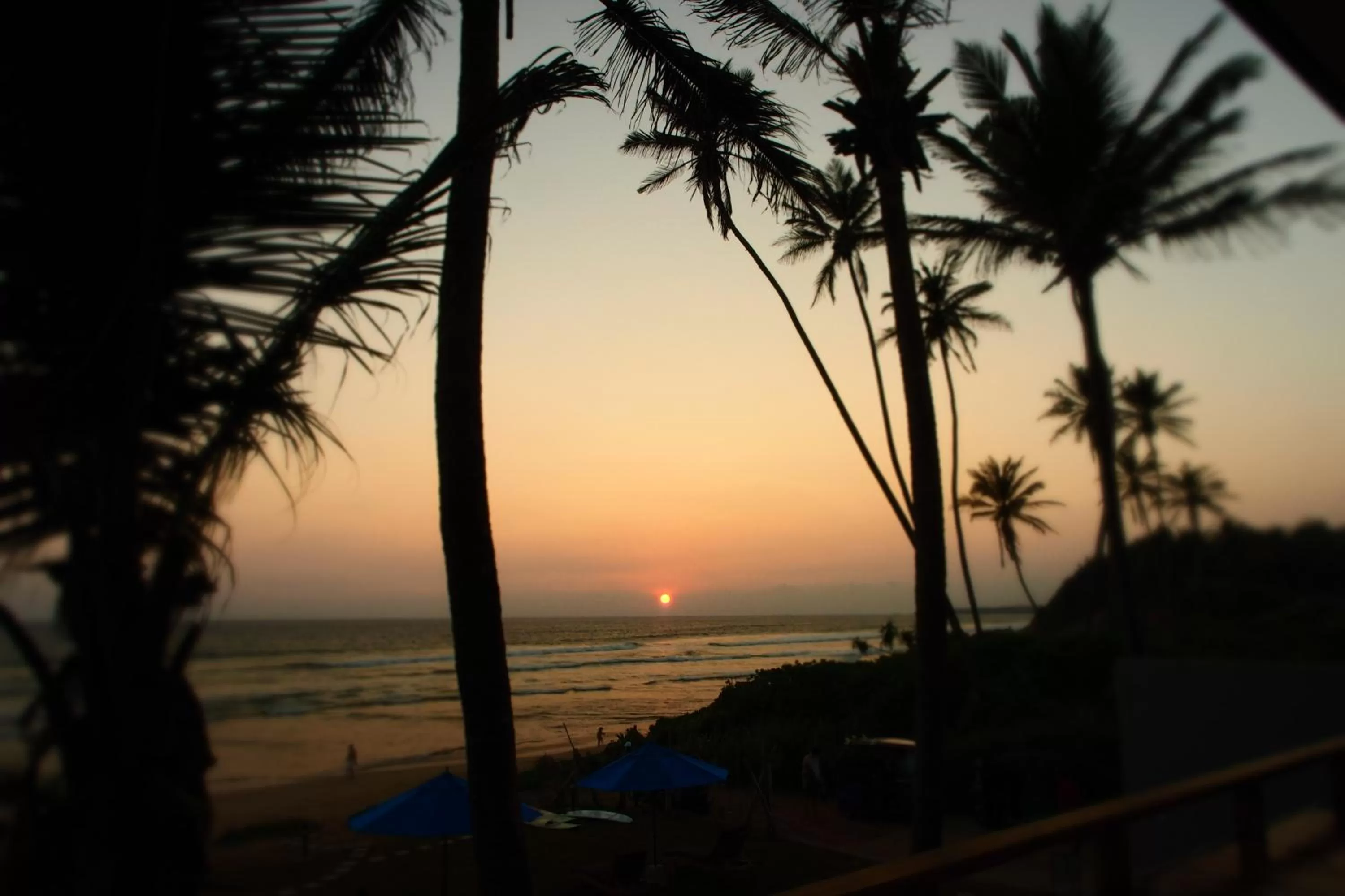 Sea view in The Seascape