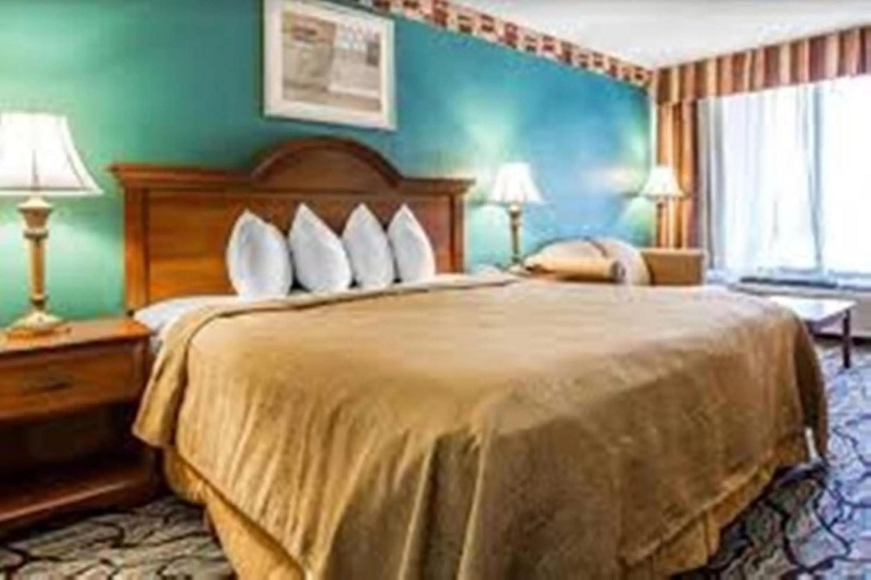 Bed in Baymont by Wyndham Walterboro