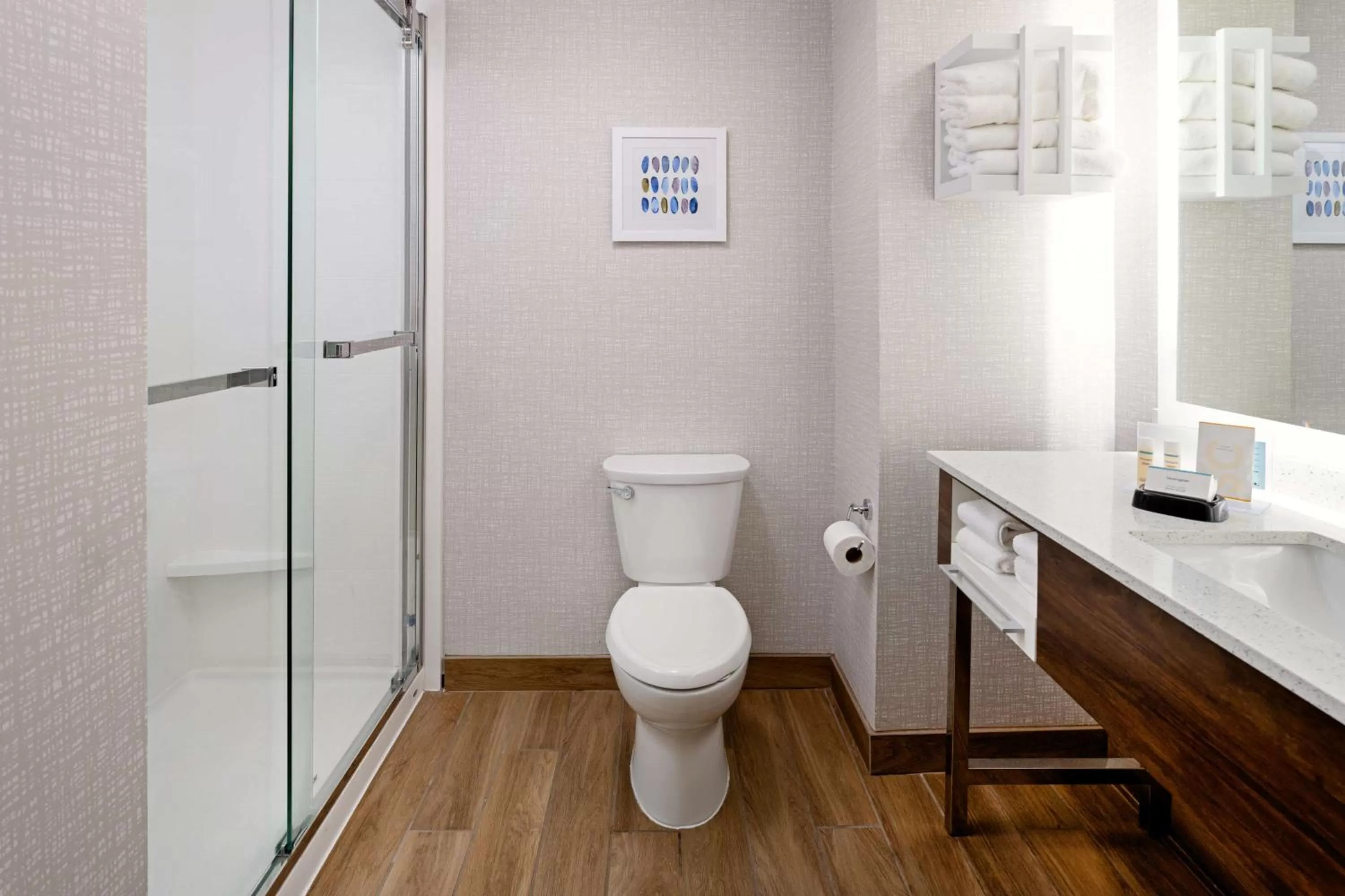 Bathroom in Hampton Inn Richmond-Mechanicsville