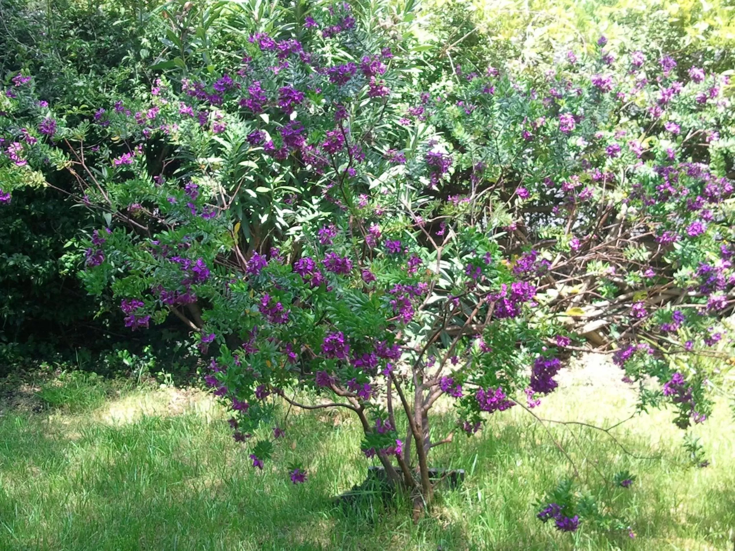 Garden in B&B La Rena Rossa