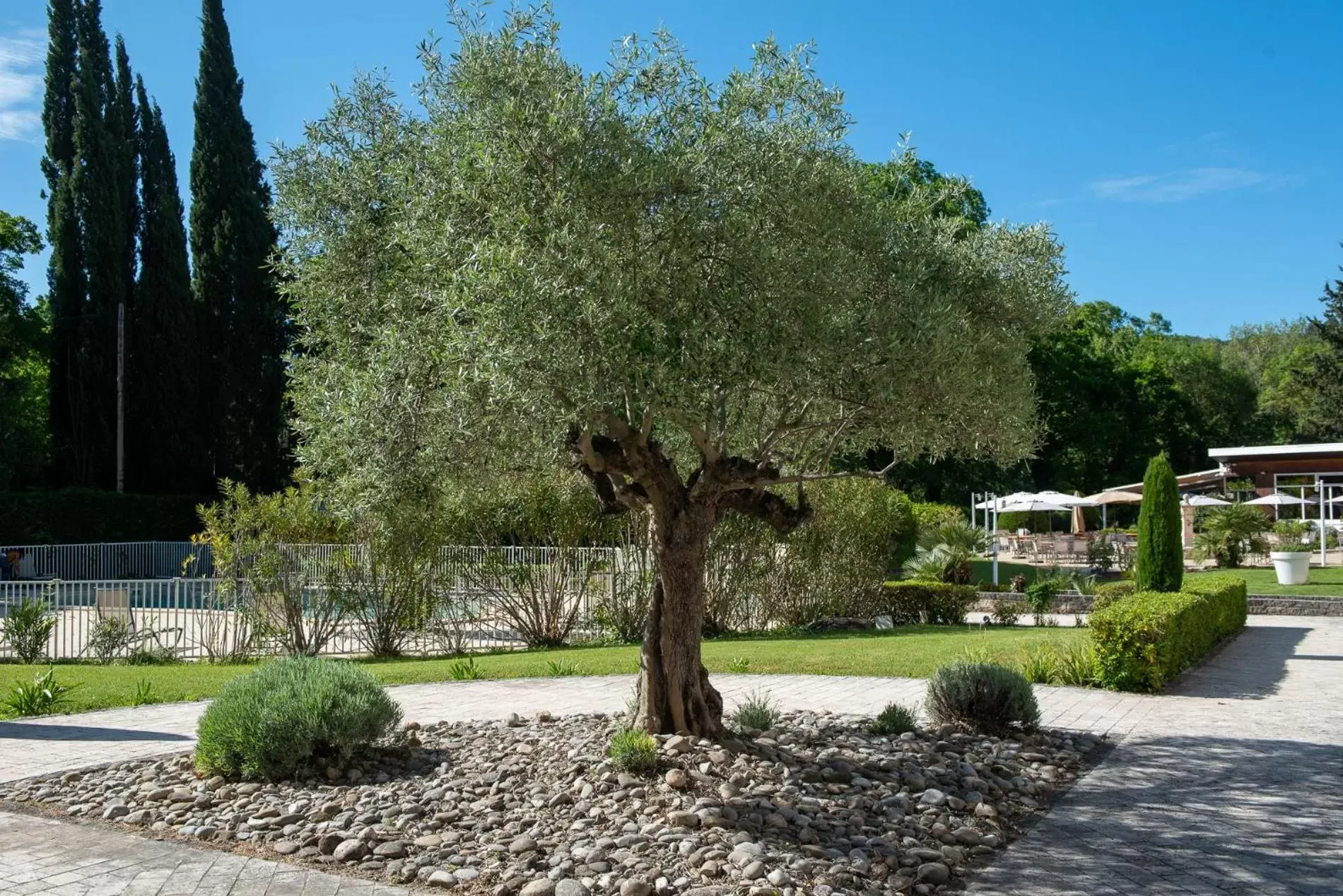 Garden in Novotel Aix-en-Provence Pont de L'Arc