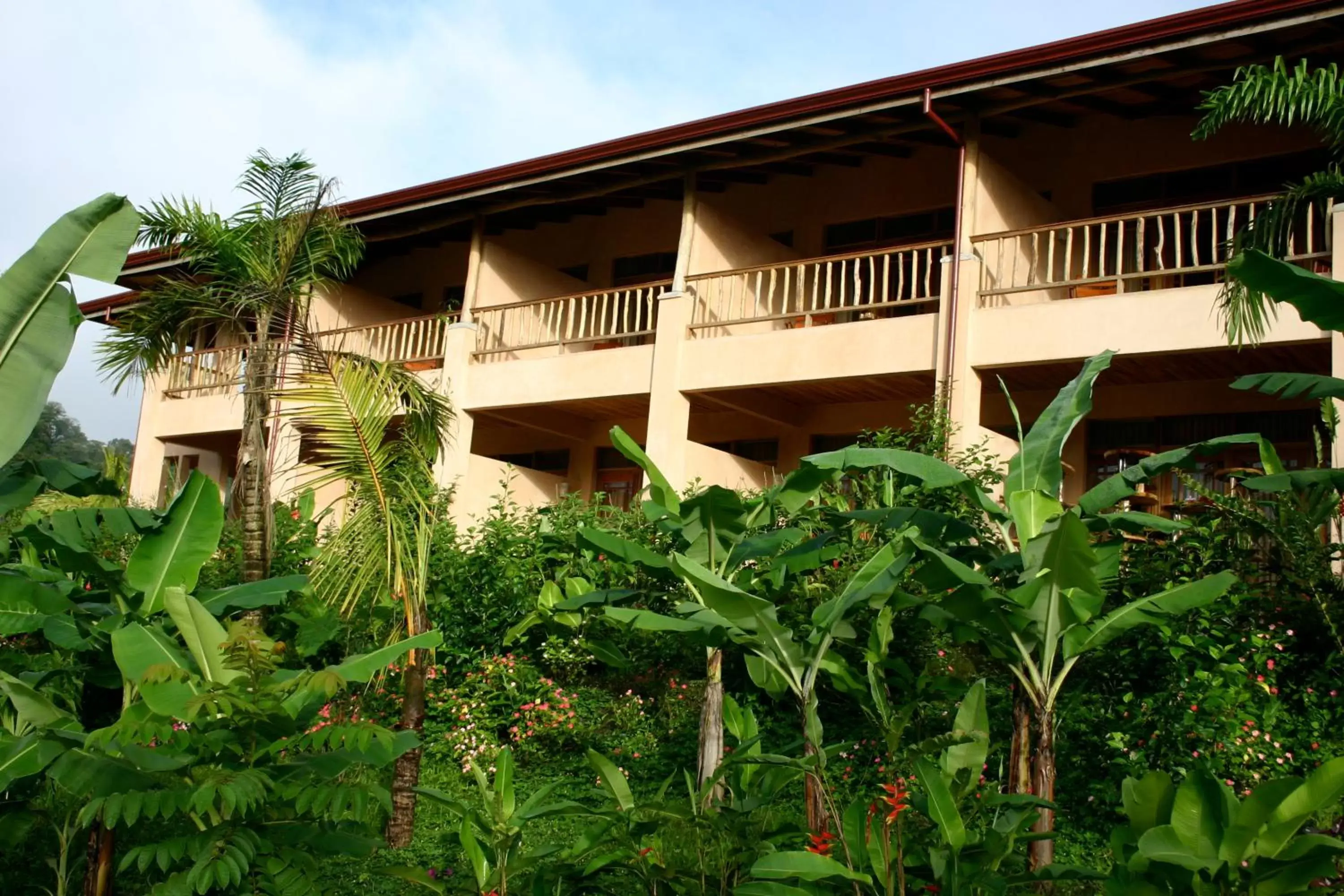 Property Building in Lost Iguana Resort and Spa