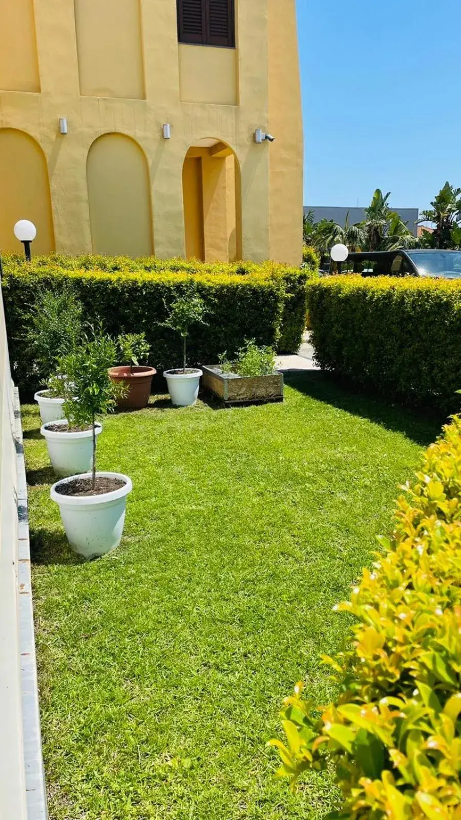 Garden in Hotel Milazzo