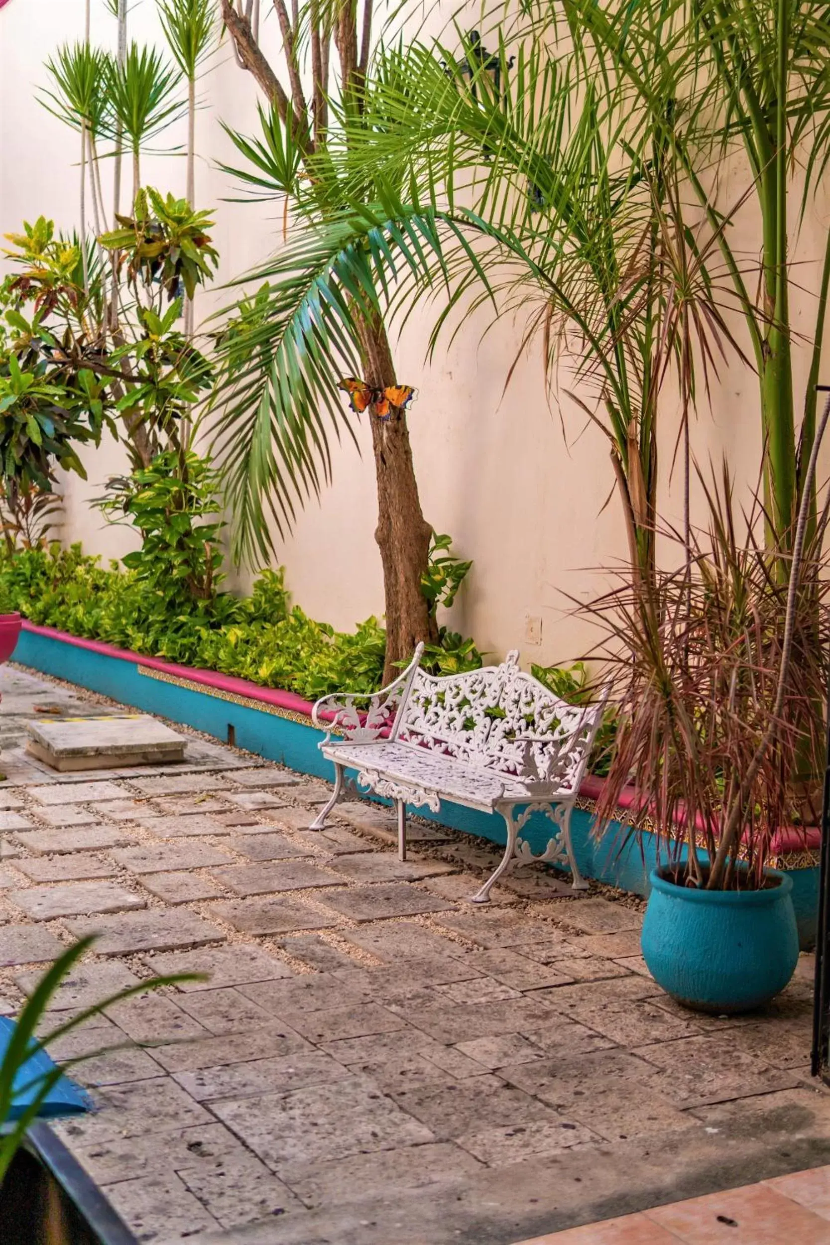 Garden in Hotel San Juan Mérida