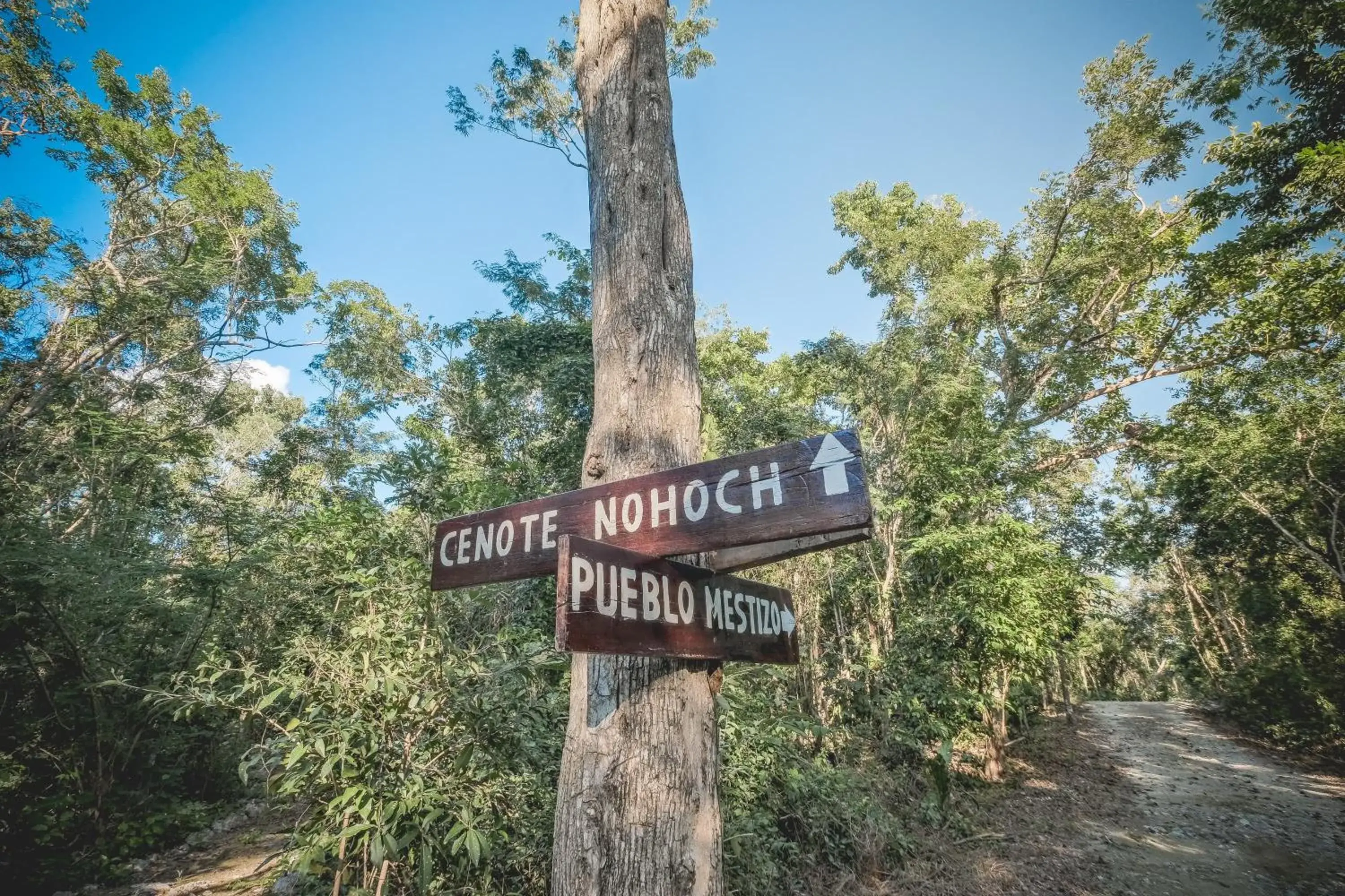Area and facilities in Wakax Hacienda - Cenote & Boutique Hotel