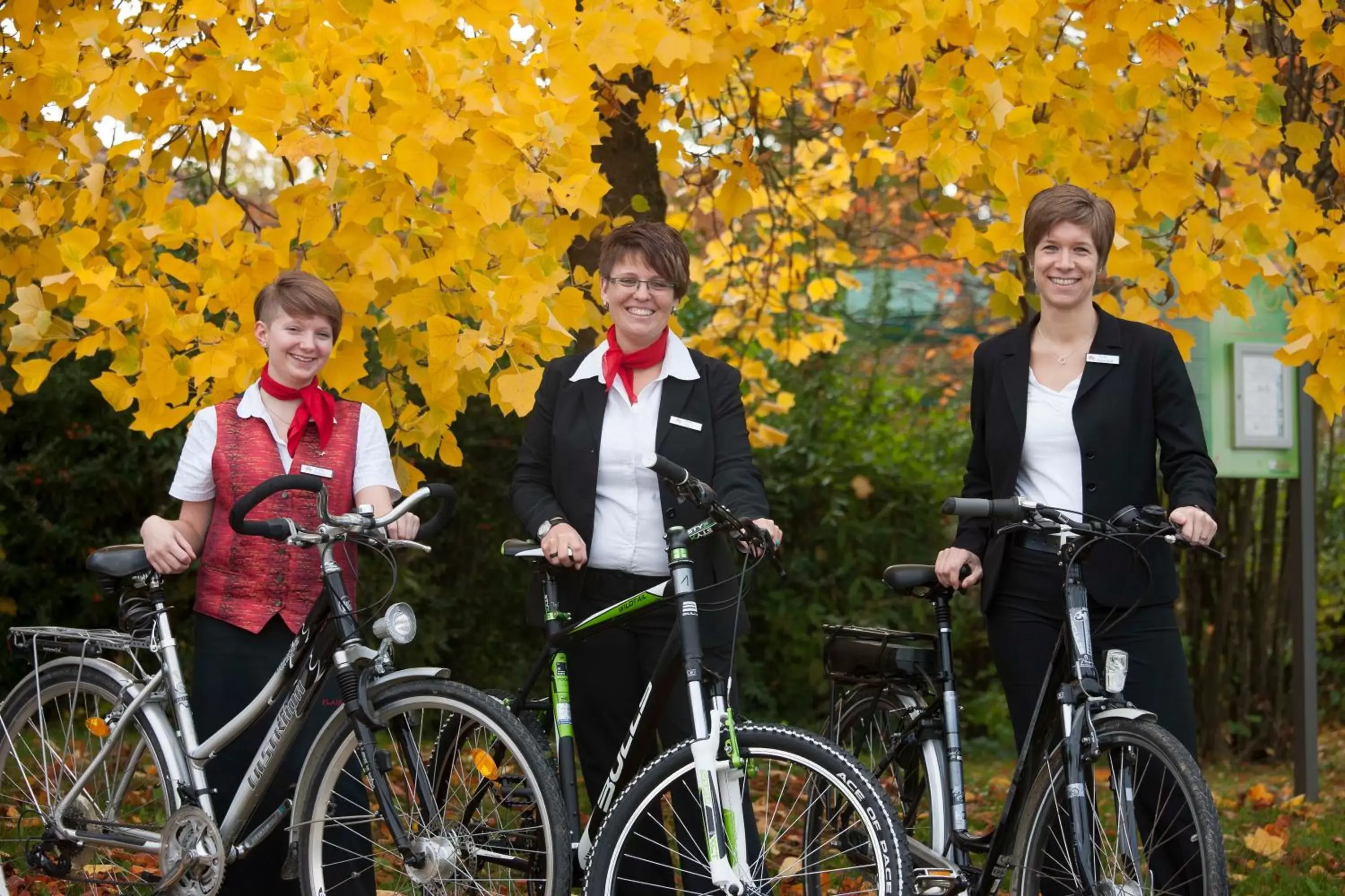 Cycling, Biking in Flair Park Hotel Ilshofen