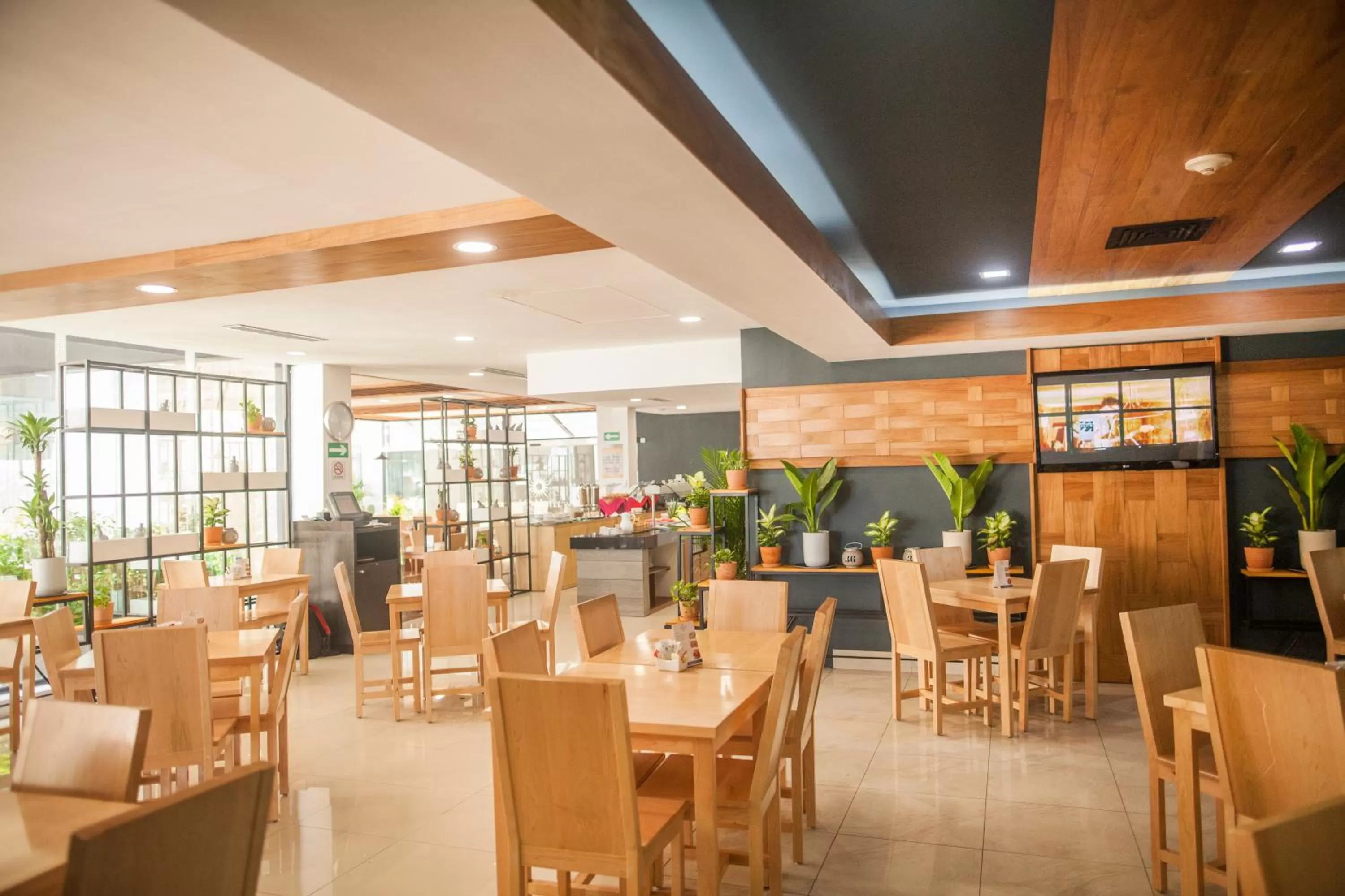 Restaurant/places to eat in Wyndham Garden Cancun Downtown