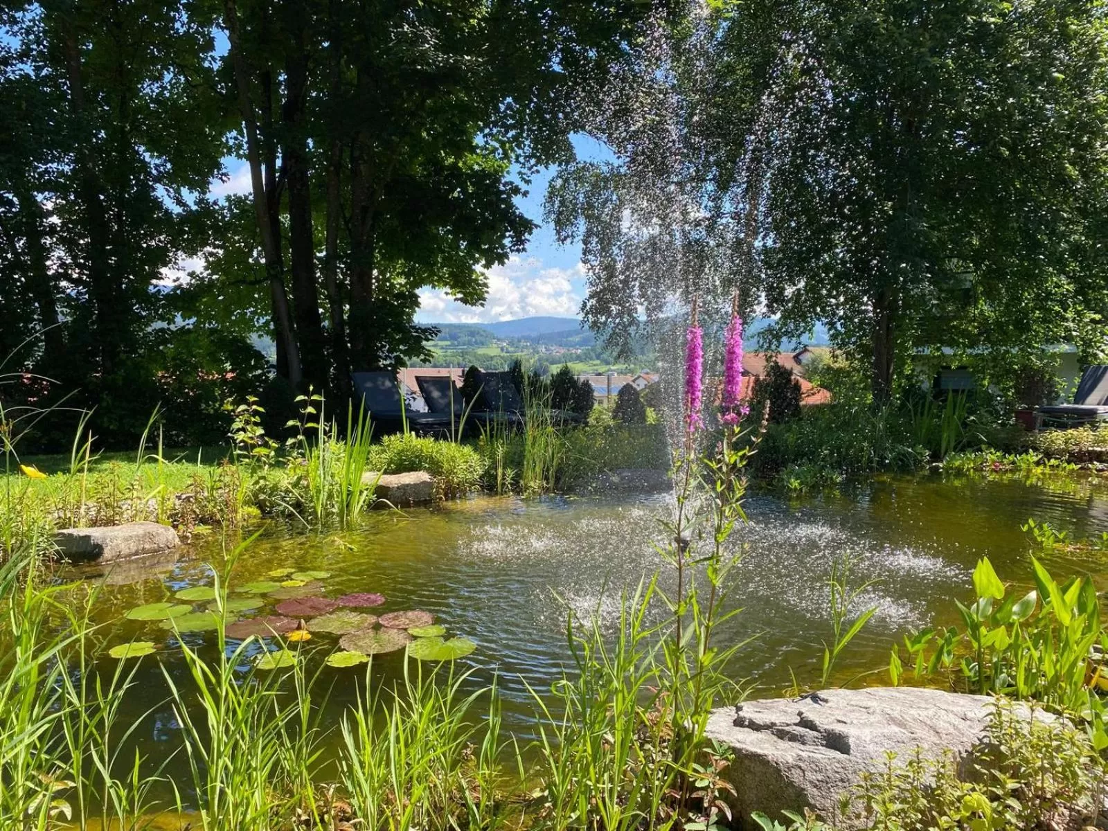 Patio in Hotel Sonnenhof 3-Sterne-Superior