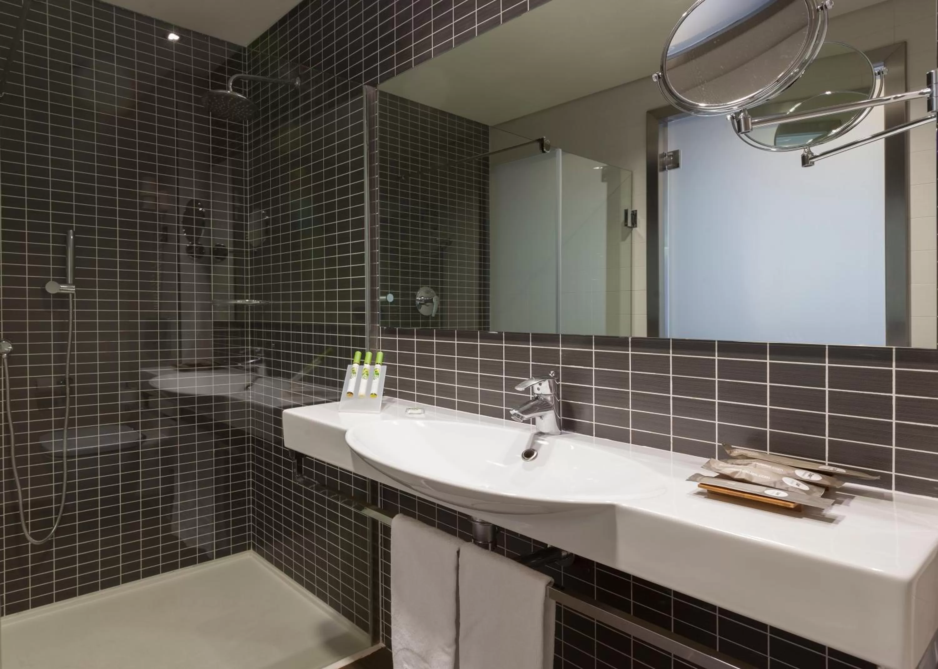 Toilet in Axor Barajas