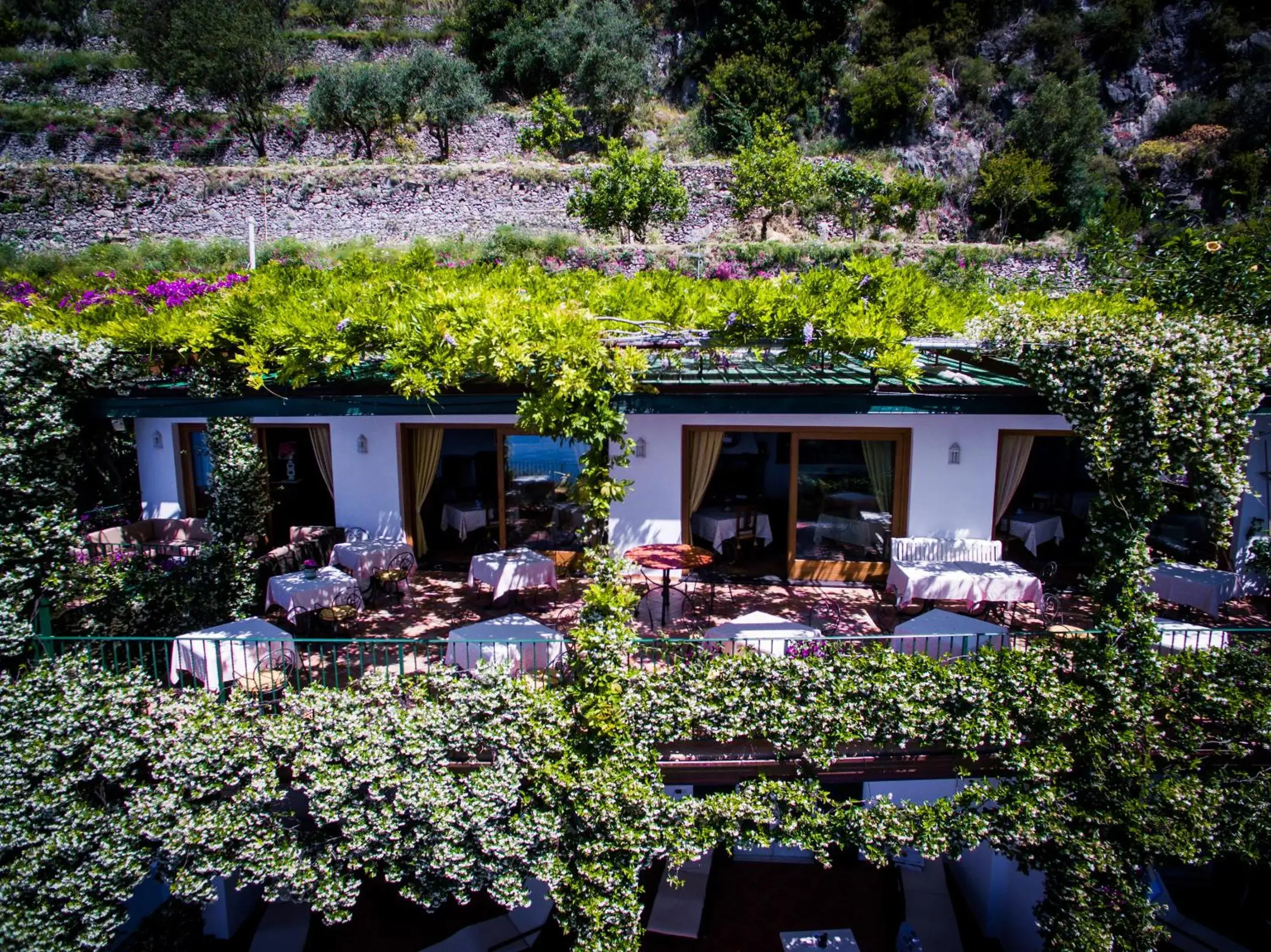 Day, Patio/Outdoor Area in Hotel Pellegrino