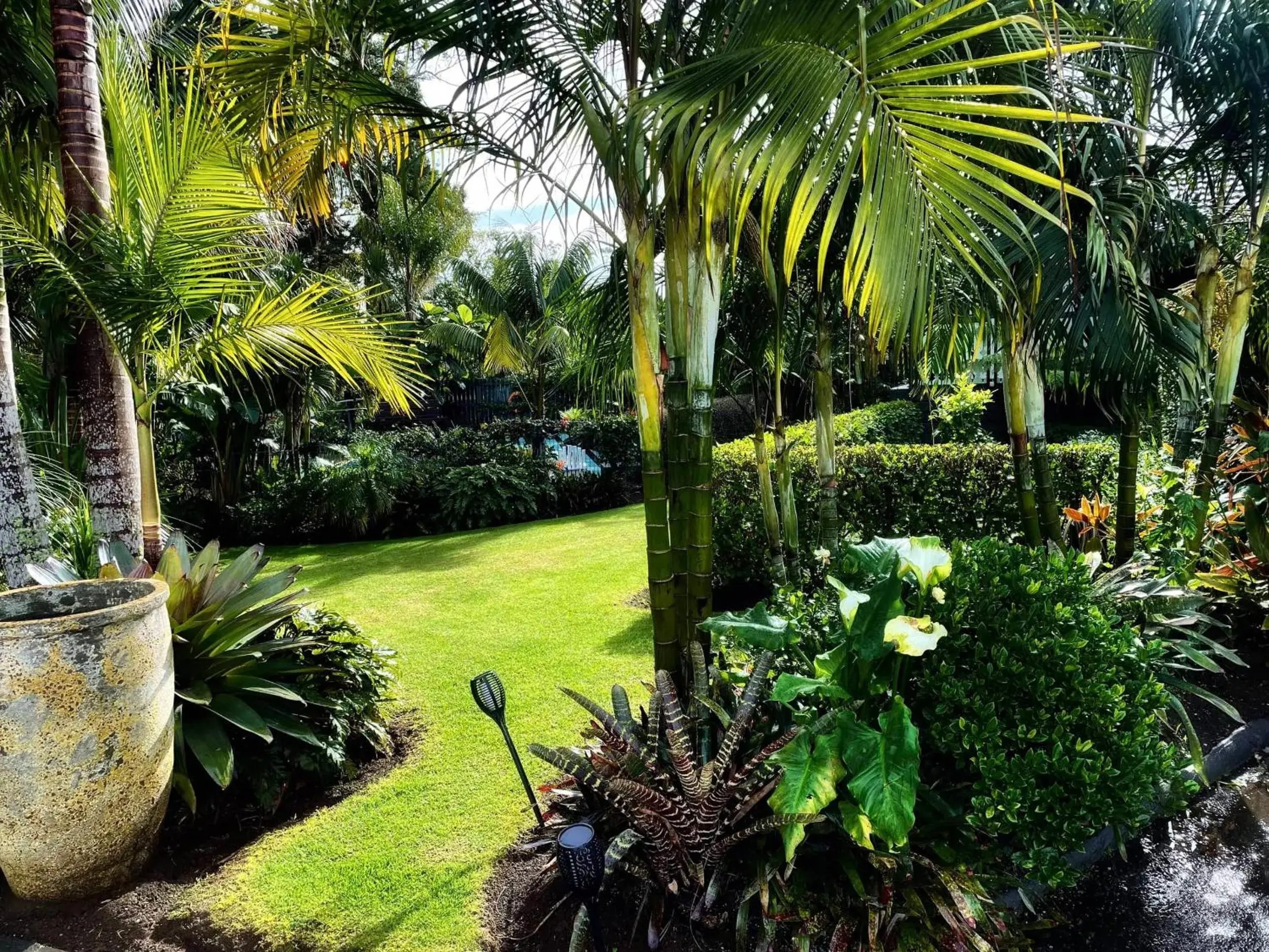 View (from property/room), Garden in Stay Kerikeri