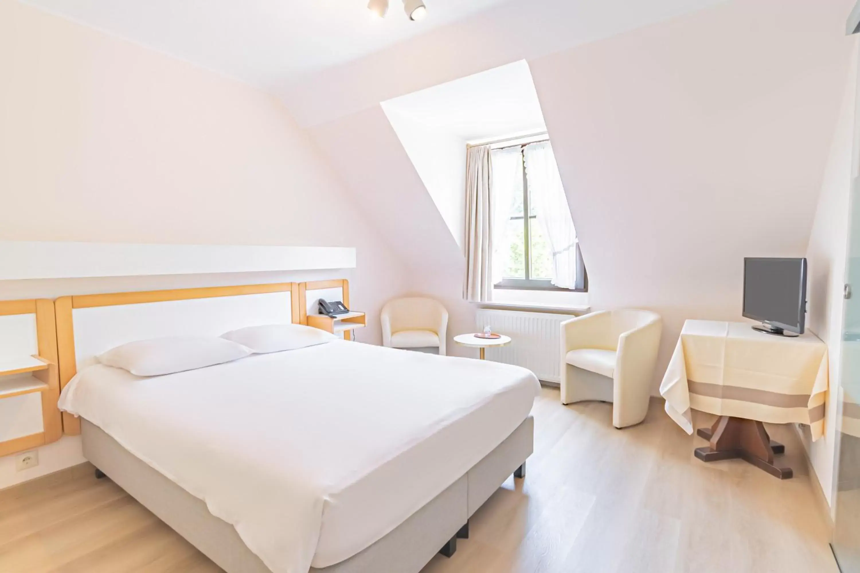 Double Room - single occupancy in Hotel Le Postillon Double Room - single occupancy in Hotel Le Postillon