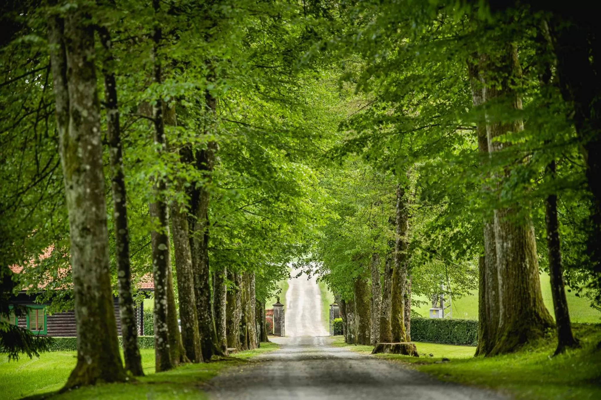 Natural landscape in Grad Strmol